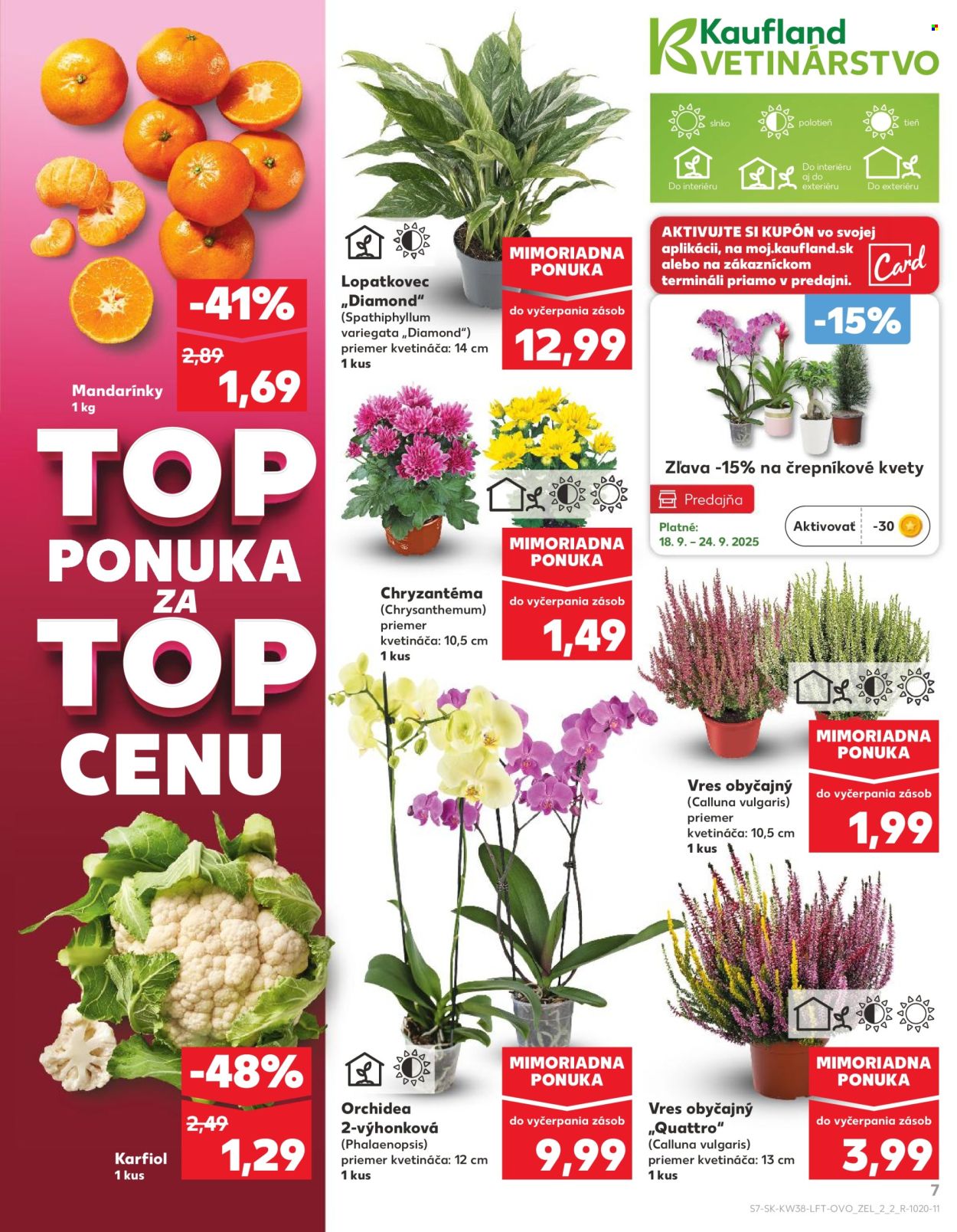 Leták Kaufland - 18.9.2025 - 24.9.2025. Strana 7