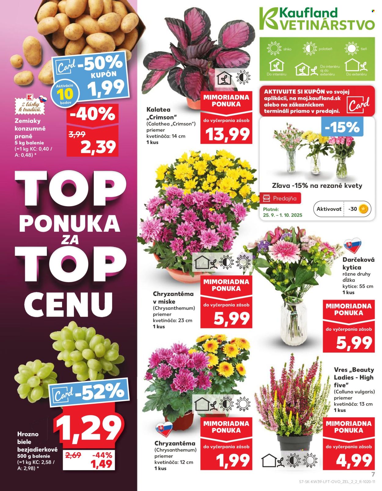 Leták Kaufland - 25.9.2025 - 1.10.2025. Strana 7