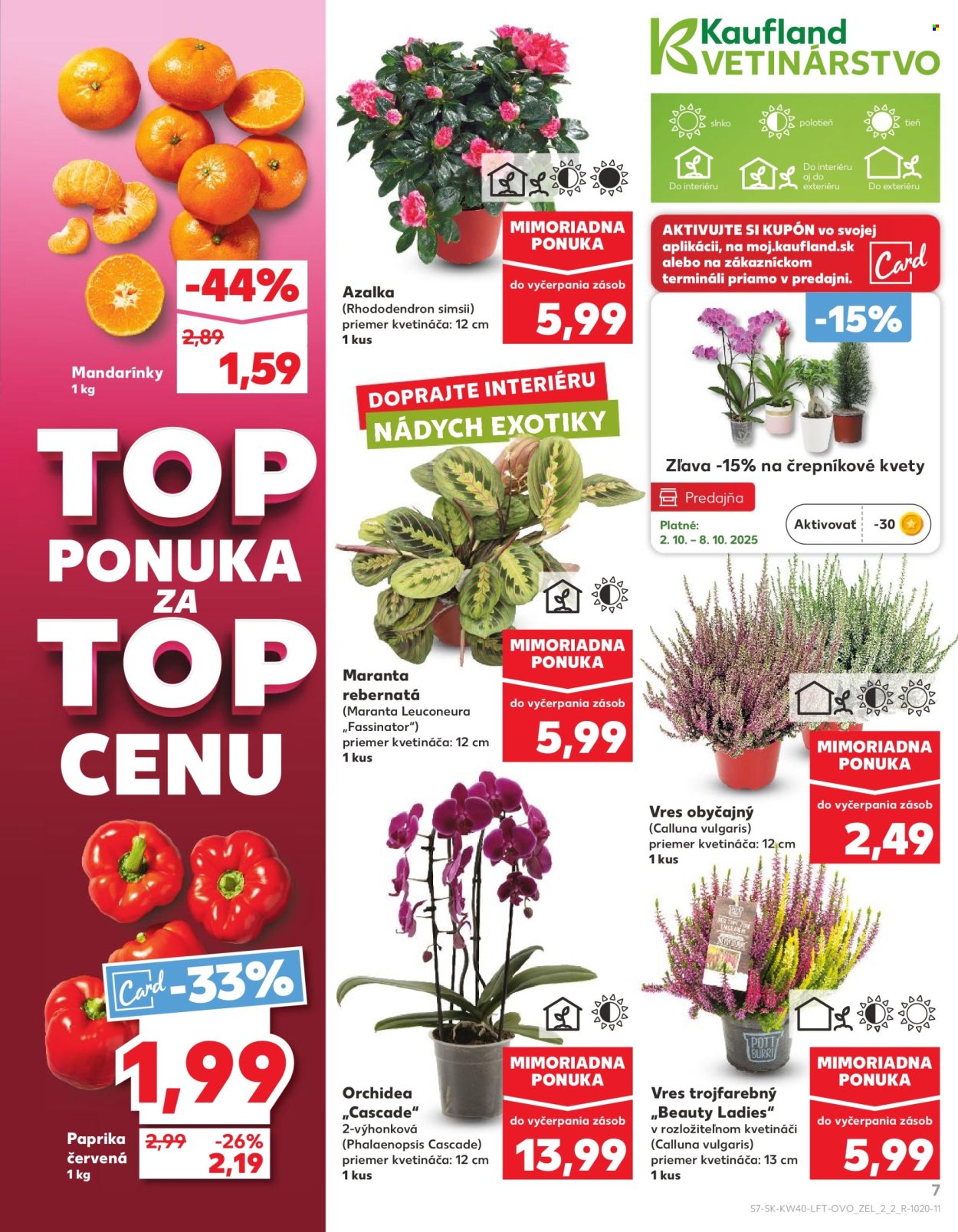 Leták Kaufland - 2.10.2025 - 8.10.2025. Strana 7