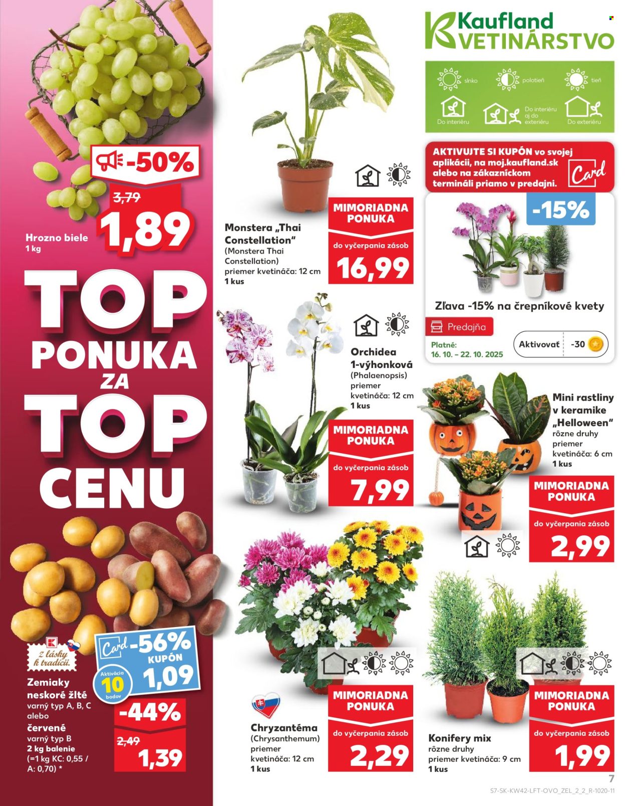Leták Kaufland - 16.10.2025 - 22.10.2025. Strana 7
