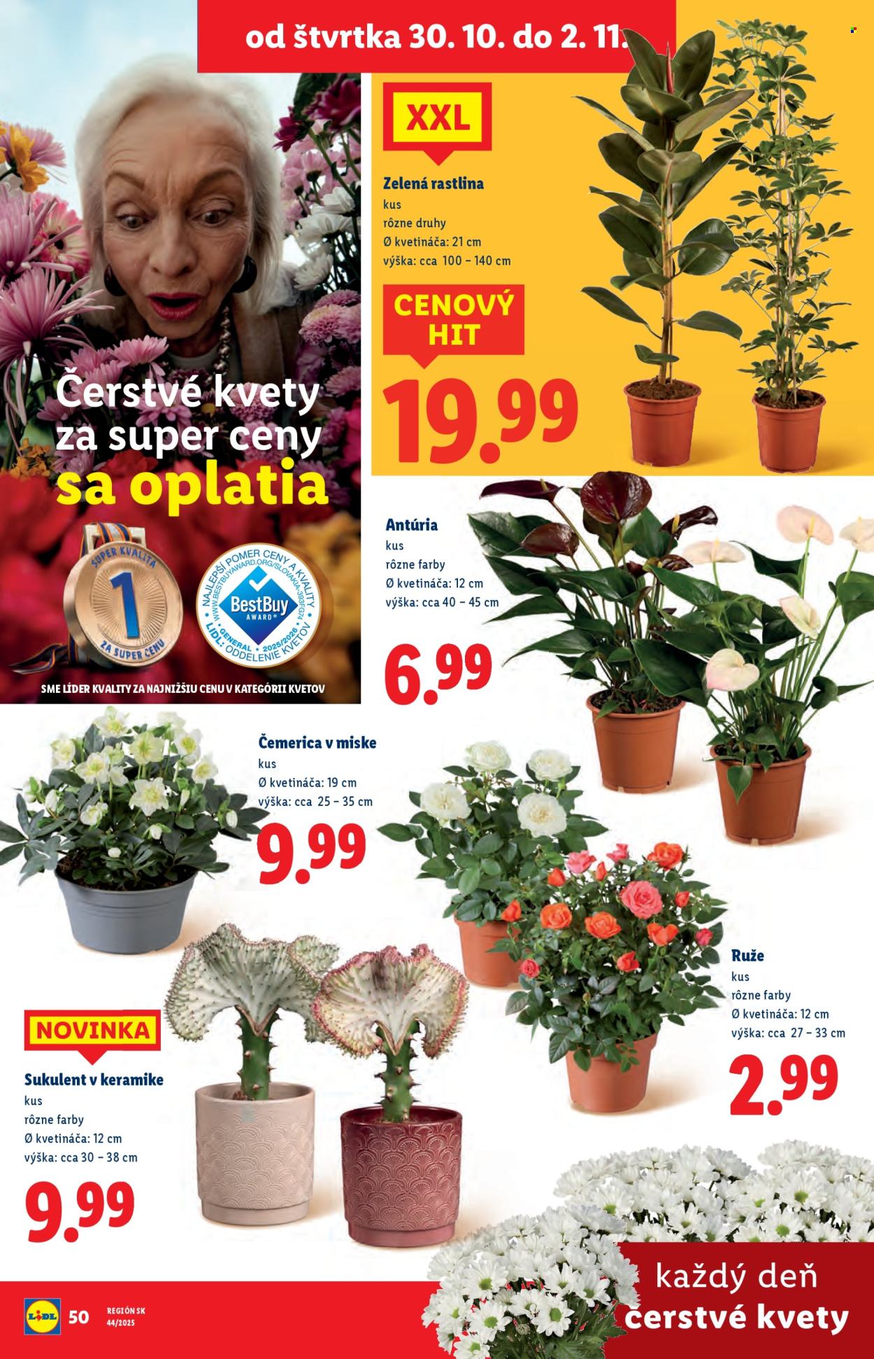 Leták Lidl - 30.10.2025 - 2.11.2025. Strana 31