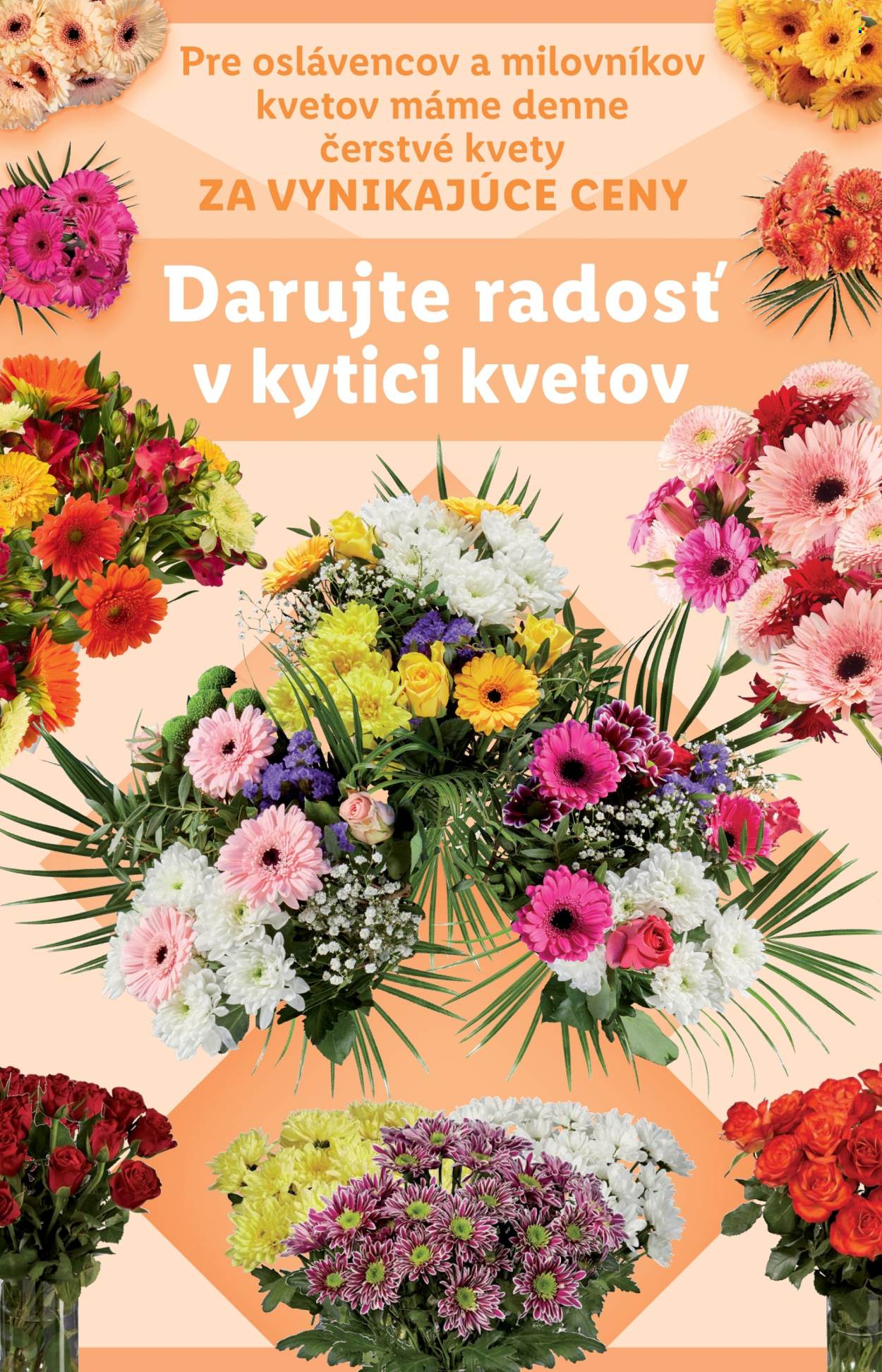 Leták Lidl - 30.10.2025 - 2.11.2025. Strana 78