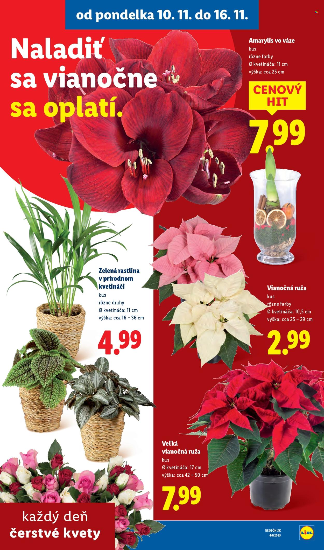 Leták Lidl - 10.11.2025 - 16.11.2025. Strana 47