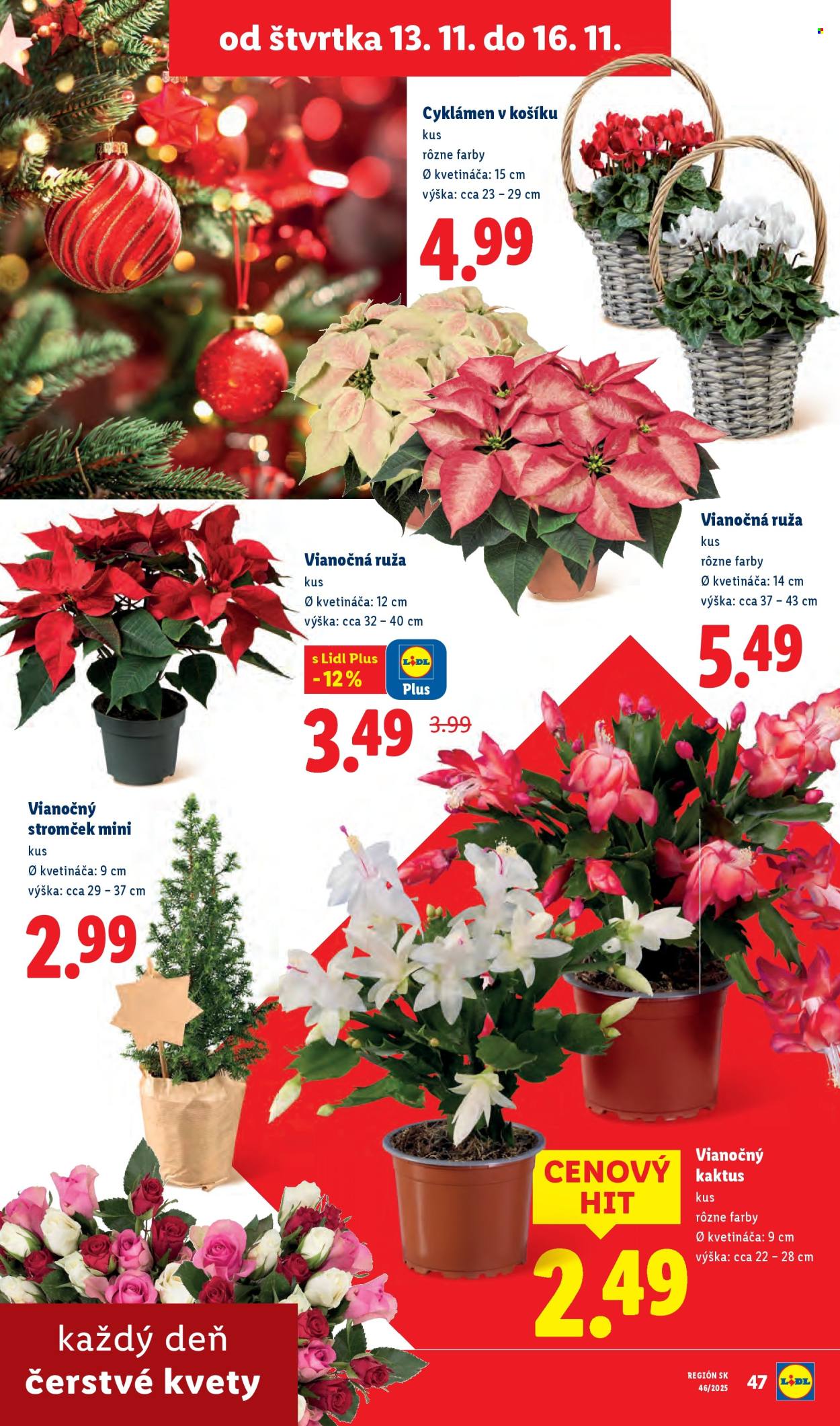 Leták Lidl - 10.11.2025 - 16.11.2025. Strana 66