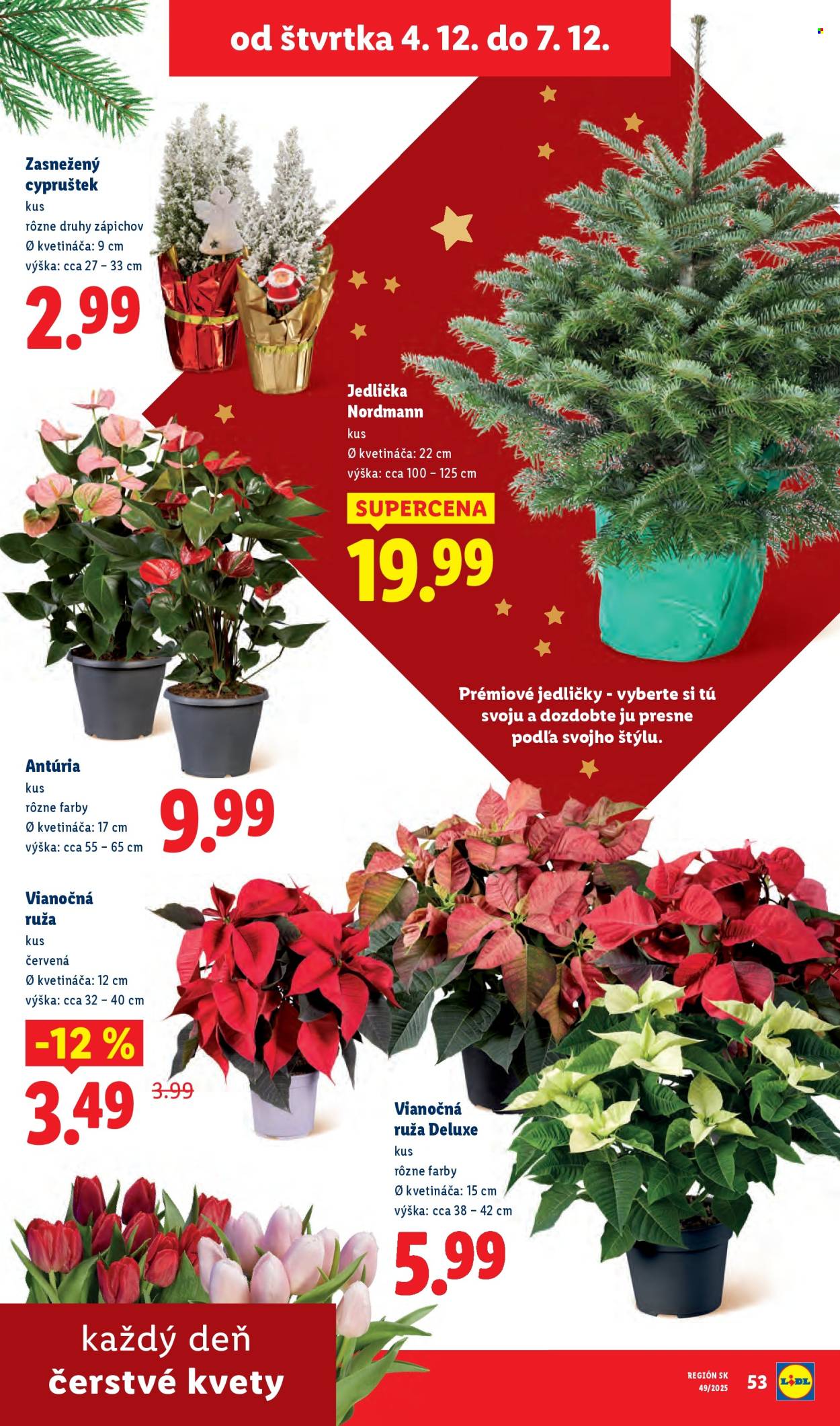 Leták Lidl - 1.12.2025 - 7.12.2025. Strana 83