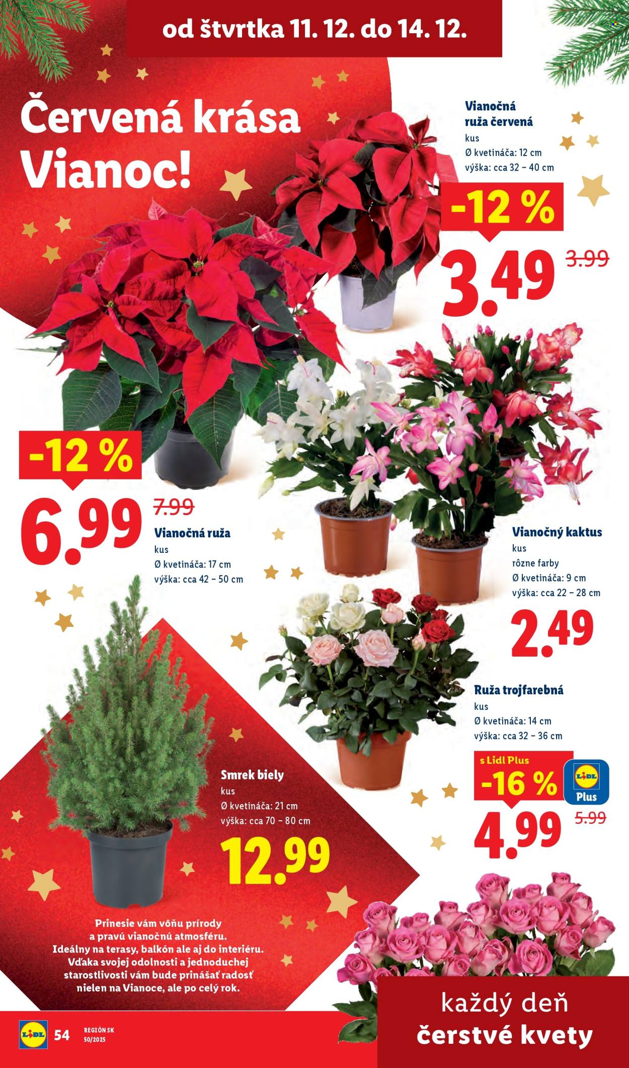 Leták Lidl - 11.12.2025 - 14.12.2025. Strana 23