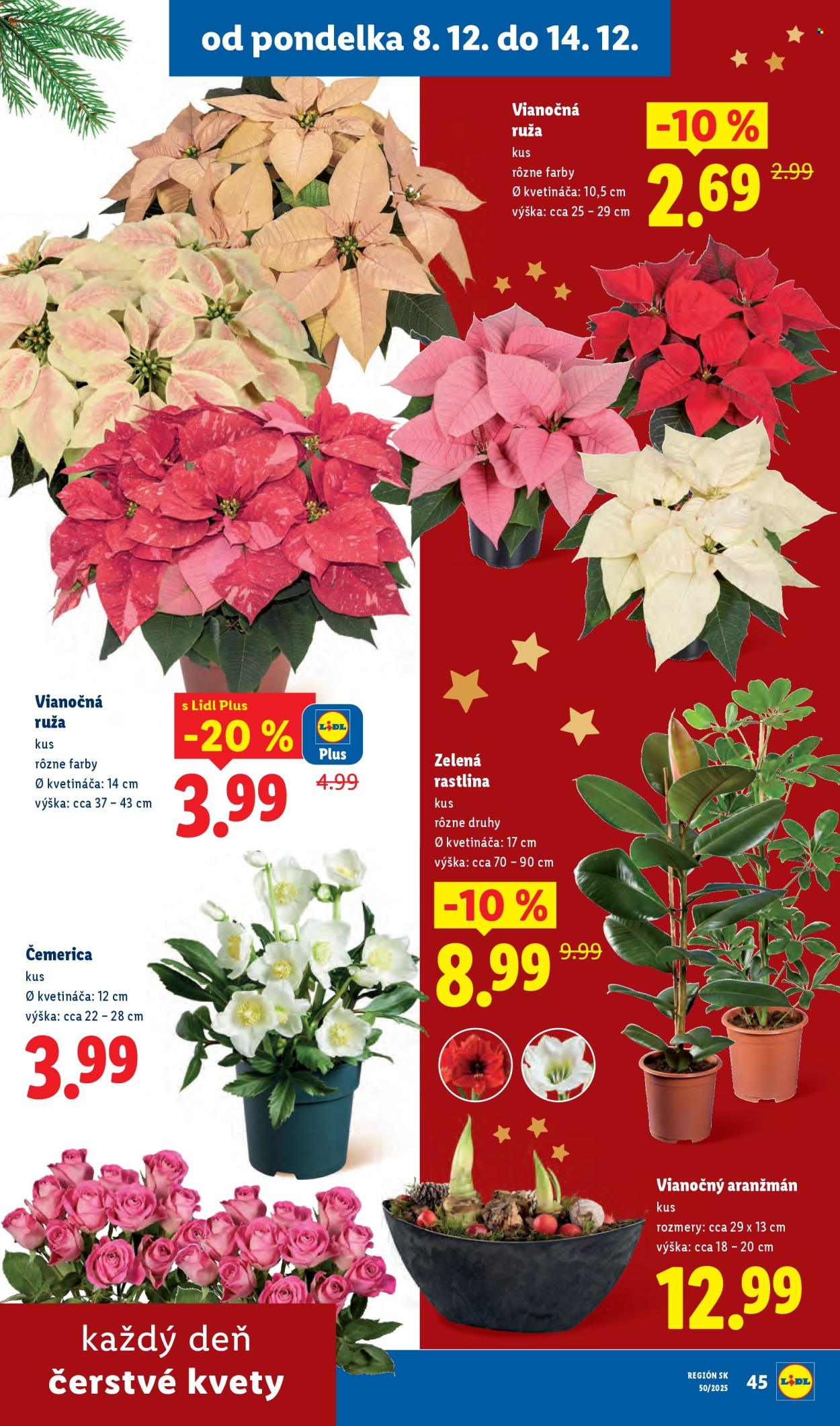 Leták Lidl - 11.12.2025 - 14.12.2025. Strana 79