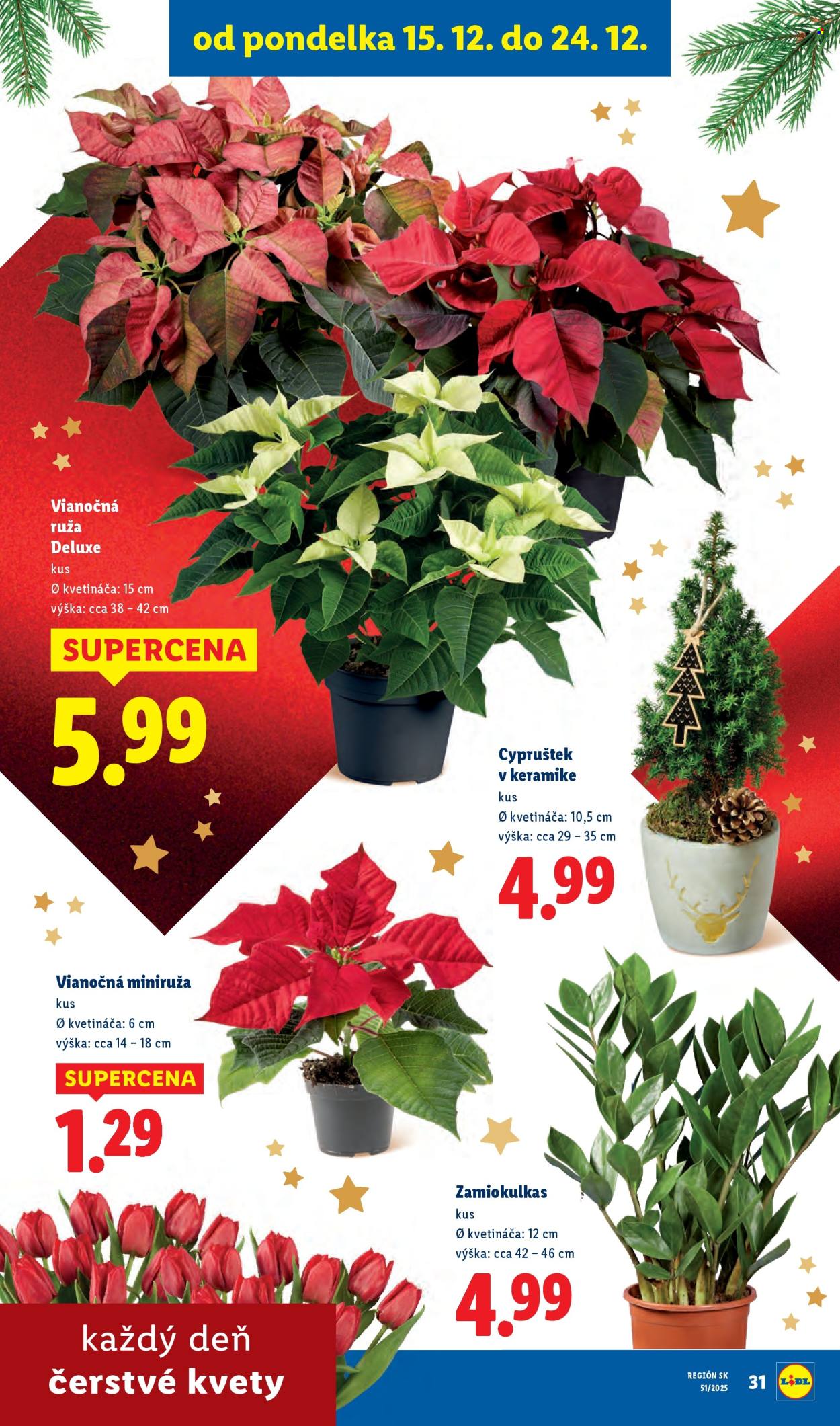 Leták Lidl - 15.12.2025 - 24.12.2025. Strana 49