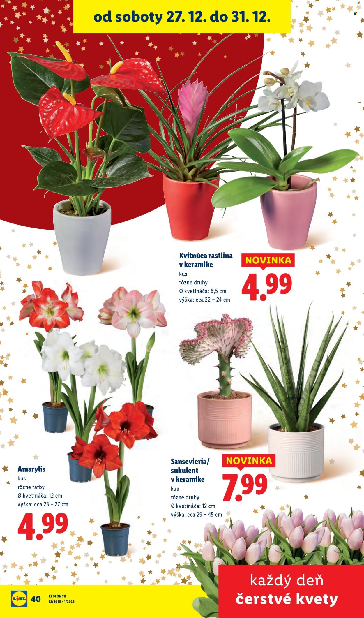 Leták Lidl - 27.12.2025 - 31.12.2025. Strana 50