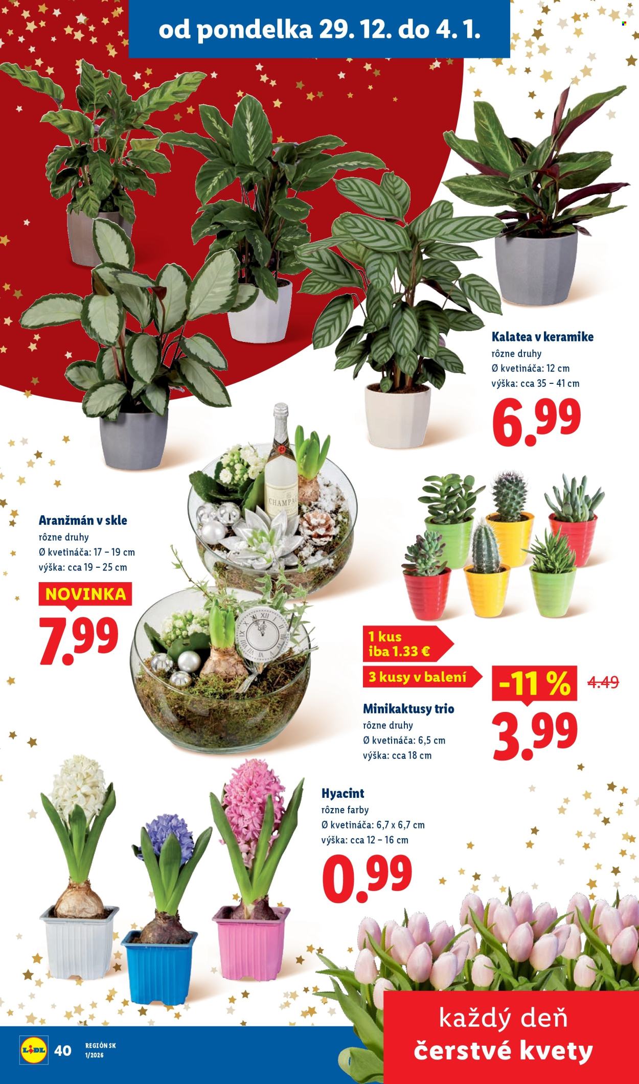 Leták Lidl - 27.12.2025 - 31.12.2025. Strana 51
