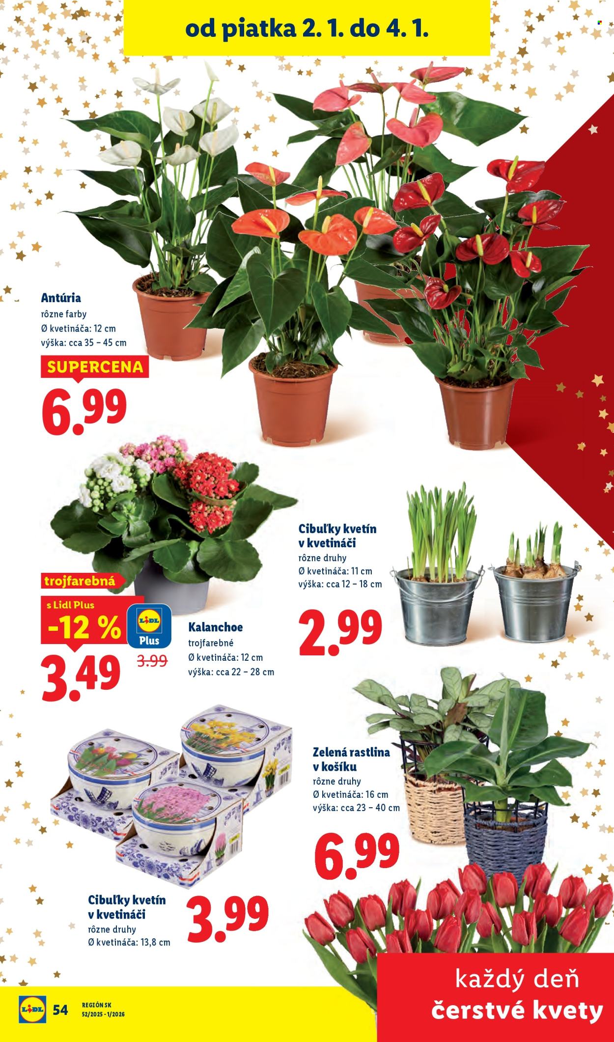 Leták Lidl - 27.12.2025 - 31.12.2025. Strana 84