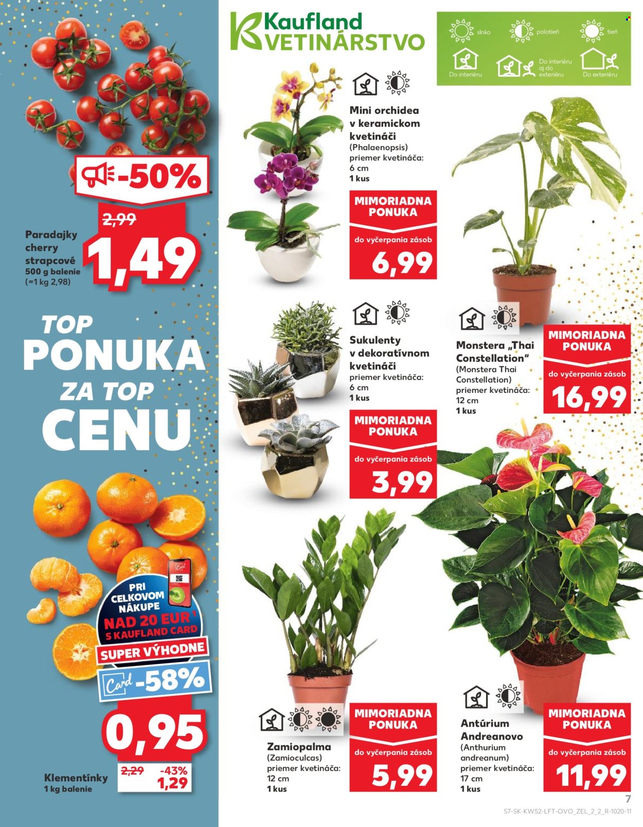 Leták Kaufland - 27.12.2025 - 31.12.2025. Strana 7