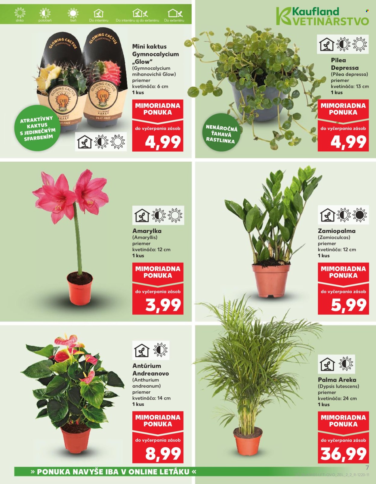 Leták Kaufland - 2.1.2026 - 7.1.2026. Strana 7