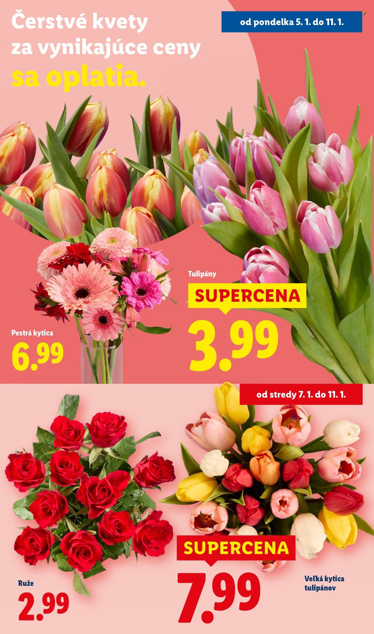 Leták Lidl - 5.1.2026 - 11.1.2026. Strana 52