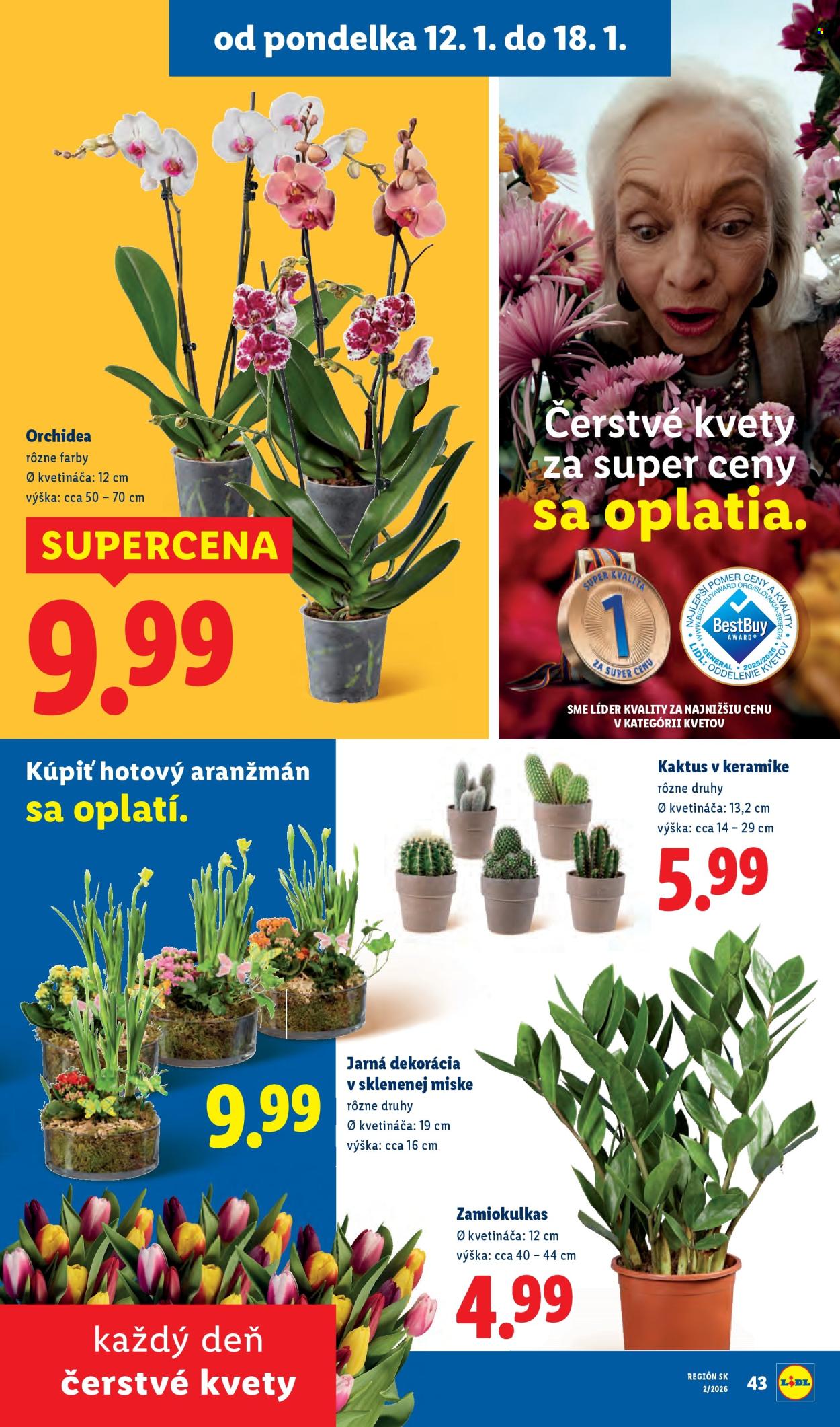 Leták Lidl - 12.1.2026 - 18.1.2026. Strana 35