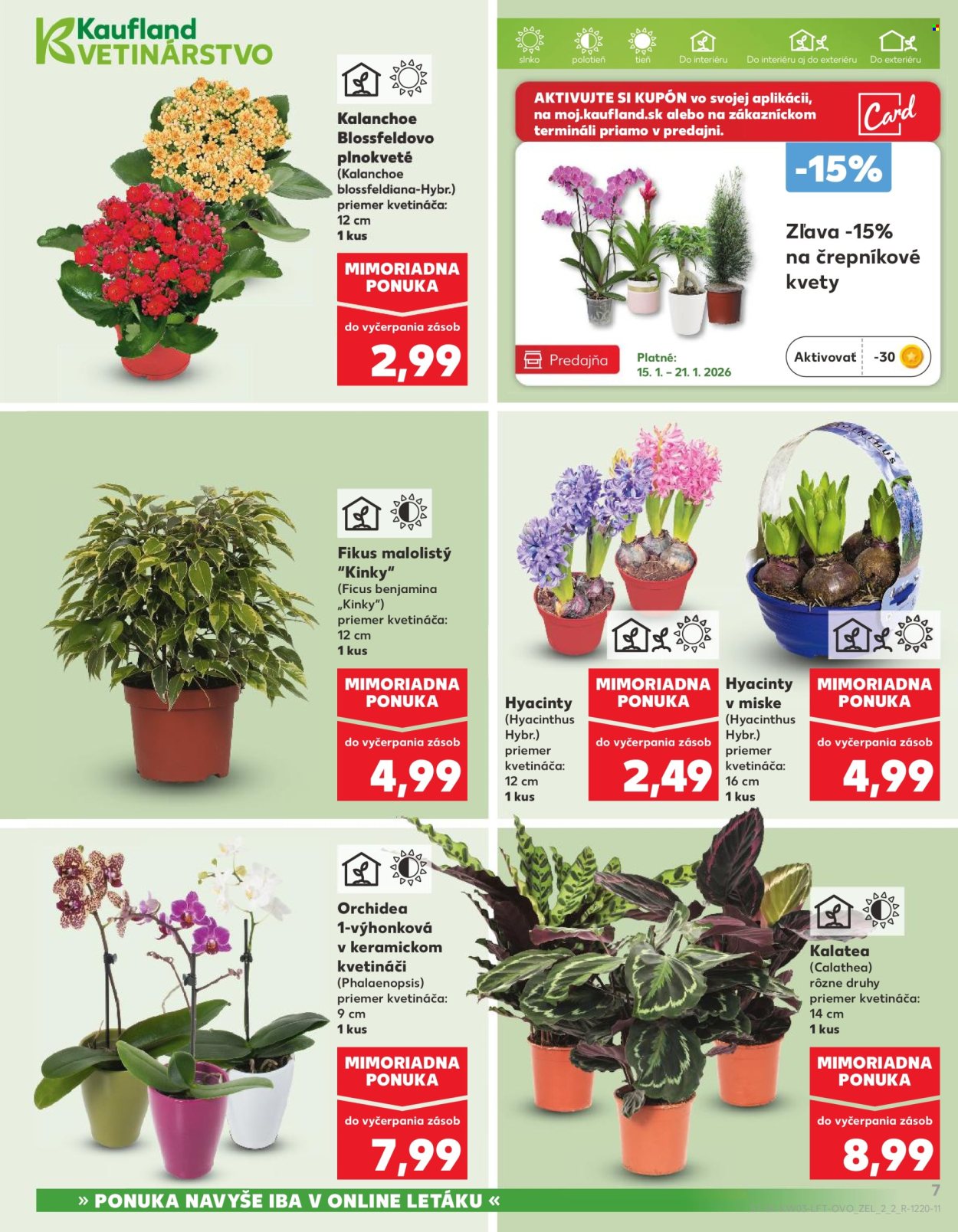 Leták Kaufland - 15.1.2026 - 21.1.2026. Strana 7