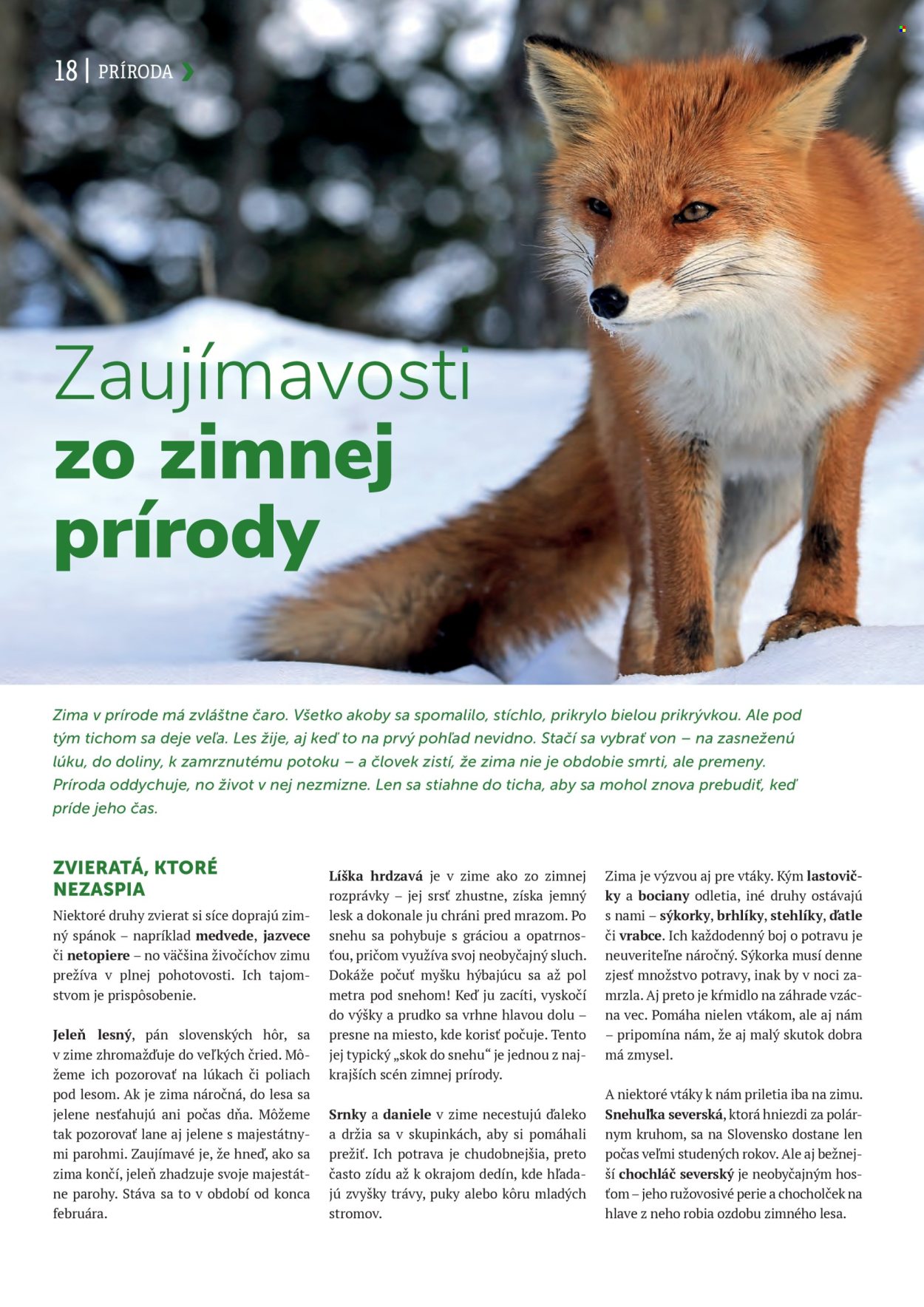 Leták Kinekus. Strana 18