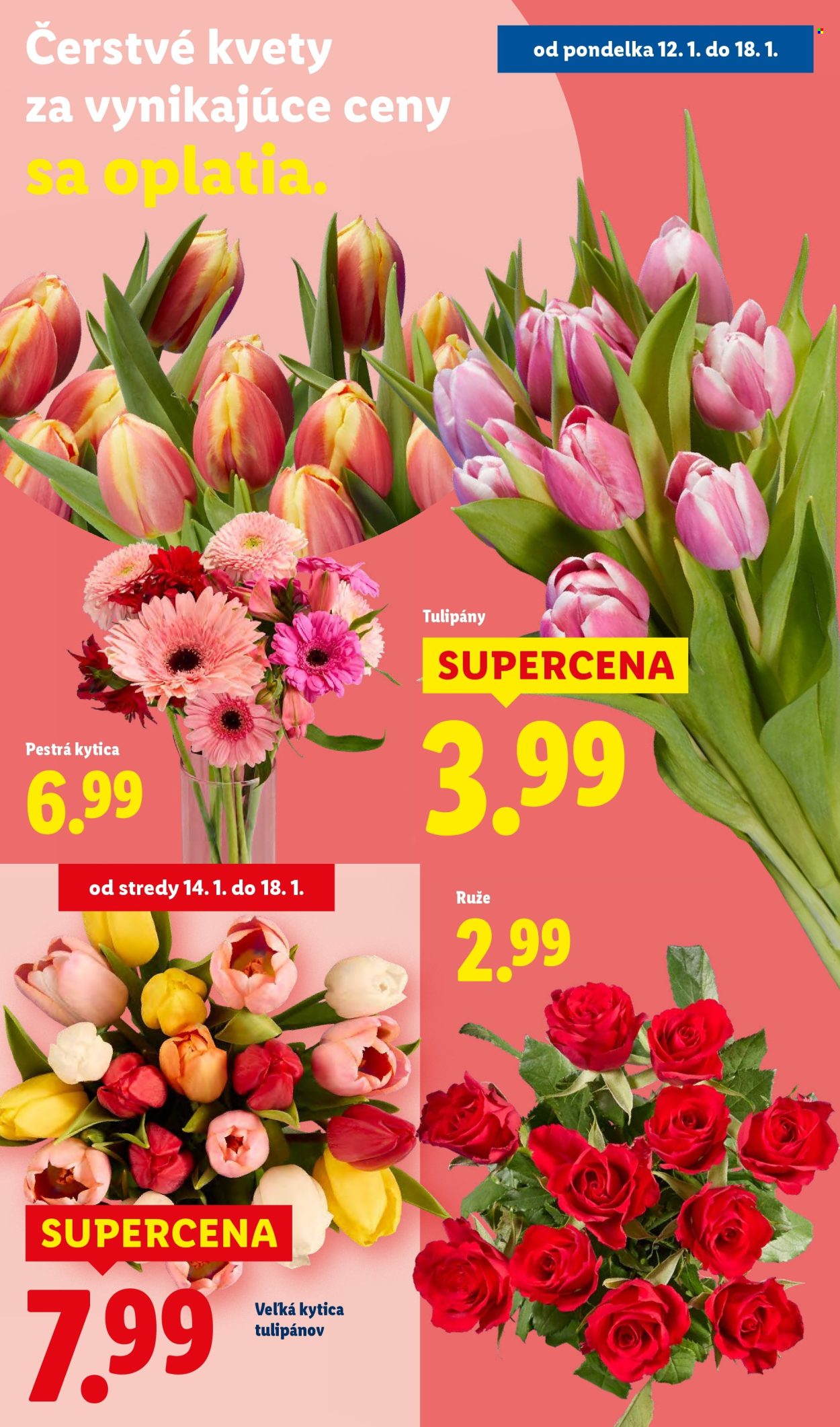 Leták Lidl - 15.1.2026 - 18.1.2026. Strana 68
