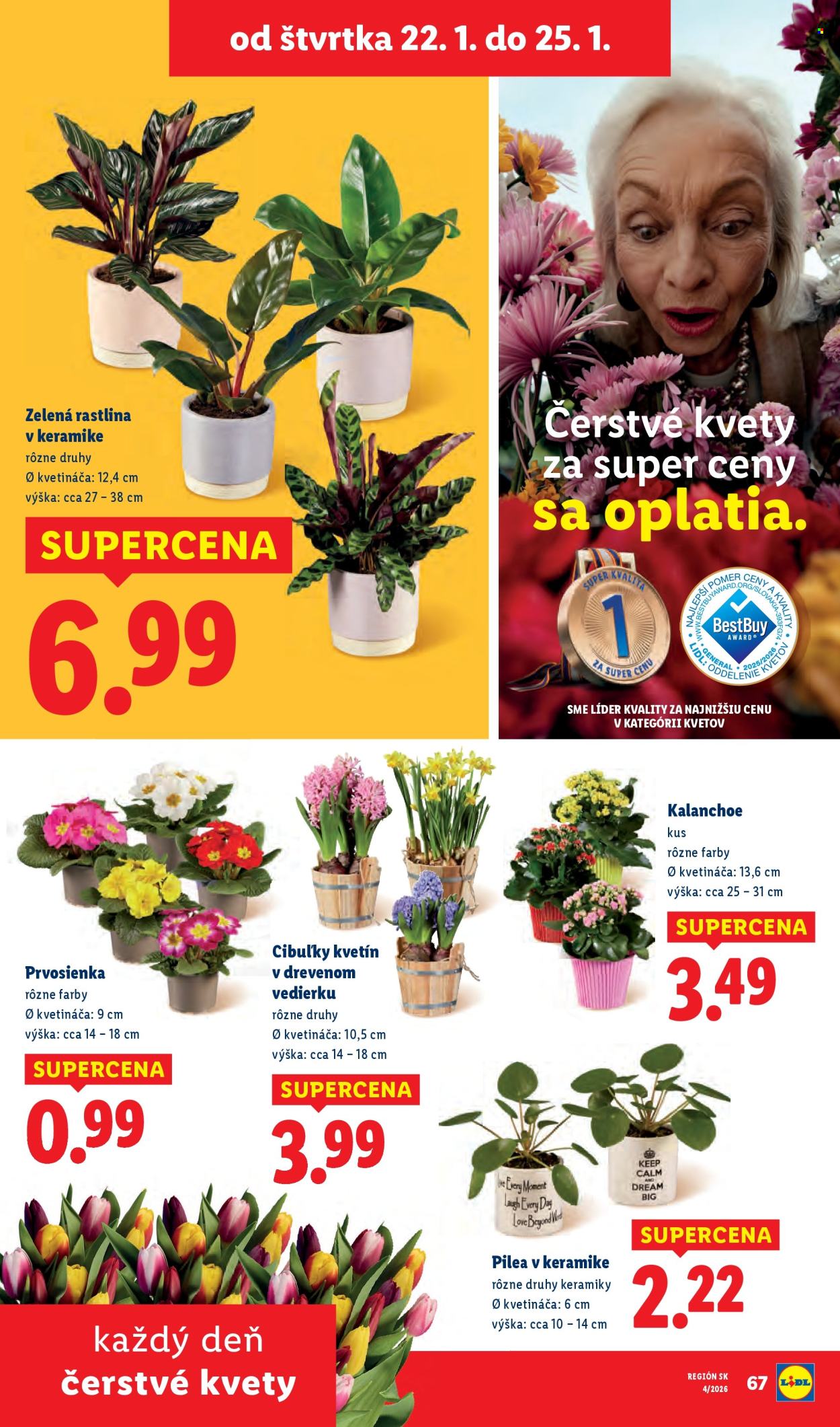 Leták Lidl - 22.1.2026 - 25.1.2026. Strana 15