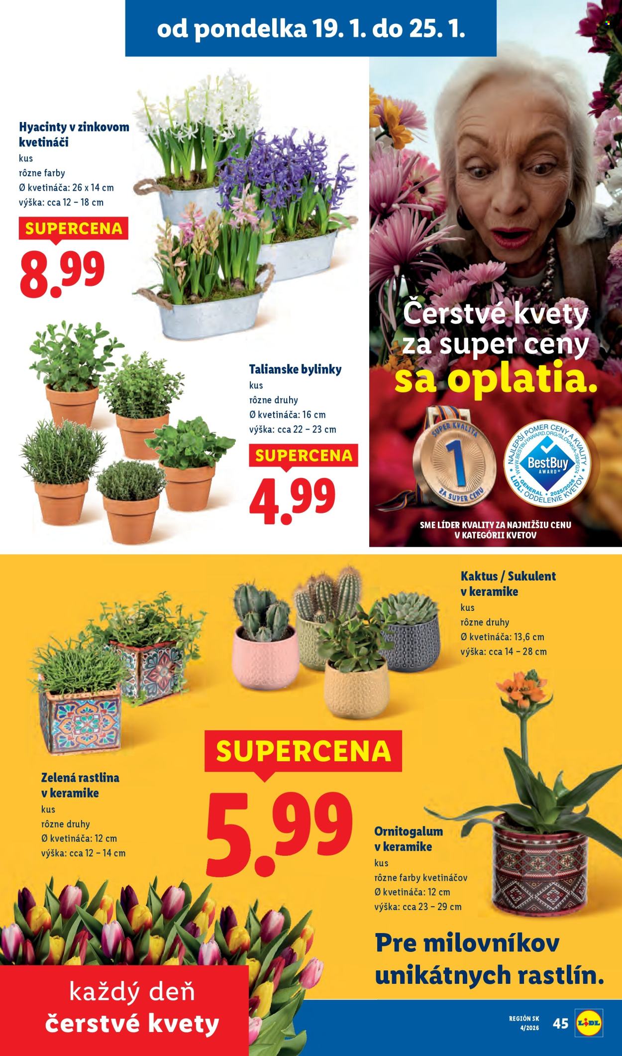 Leták Lidl - 22.1.2026 - 25.1.2026. Strana 78