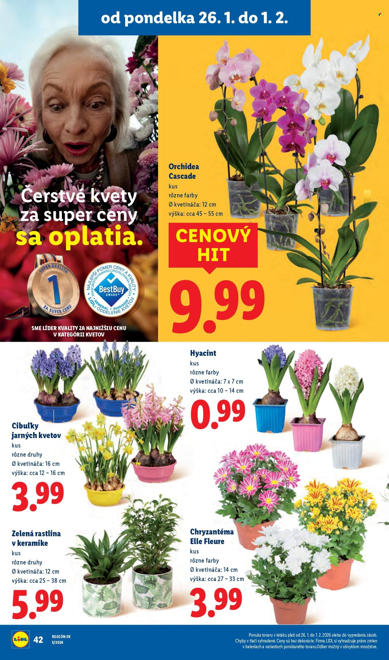 Leták Lidl - 26.1.2026 - 1.2.2026. Strana 43