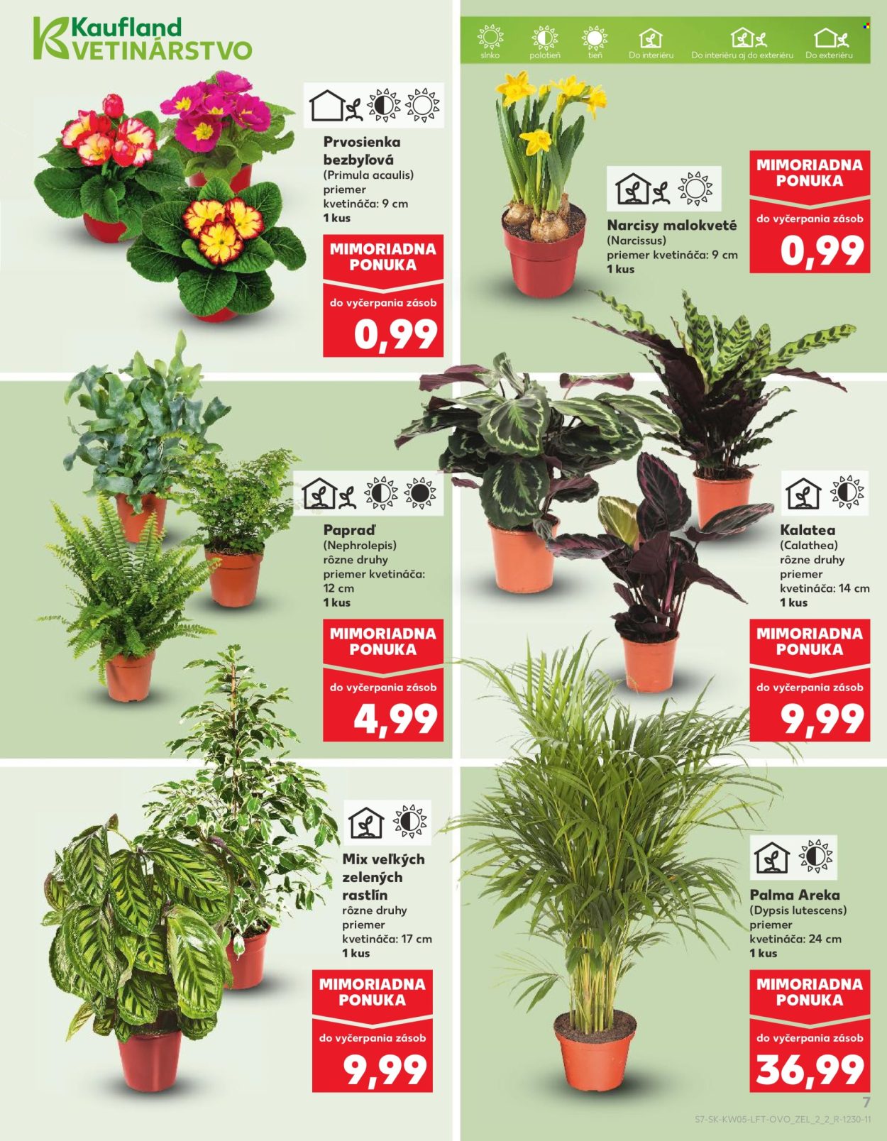 Leták Kaufland - 29.1.2026 - 4.2.2026. Strana 7