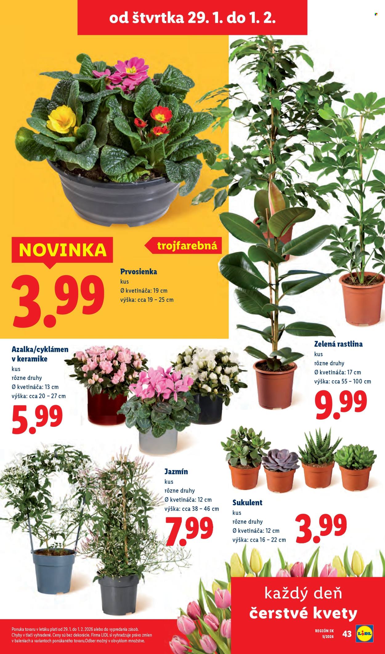 Leták Lidl - 29.1.2026 - 1.2.2026. Strana 29