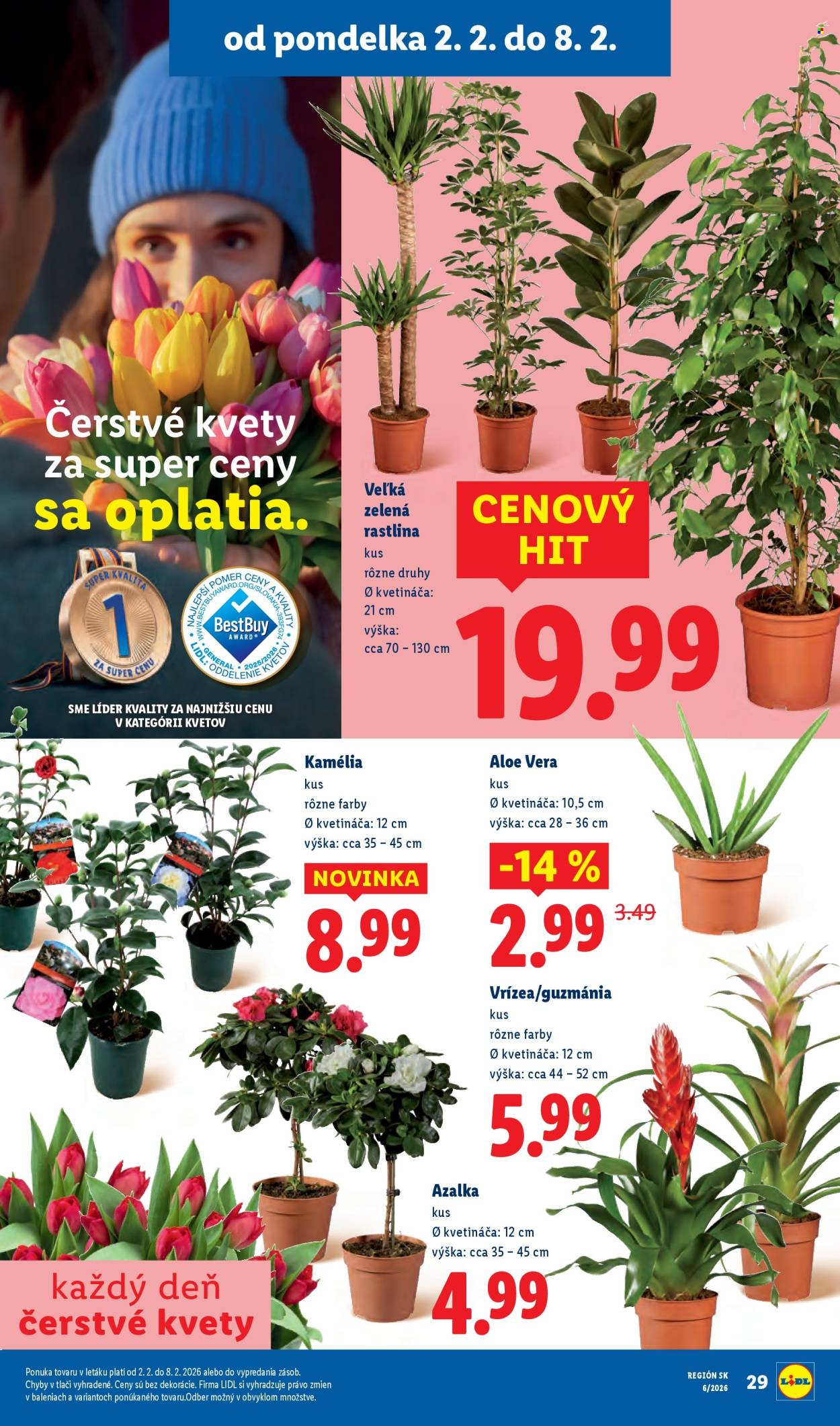 Leták Lidl - 2.2.2026 - 8.2.2026. Strana 37