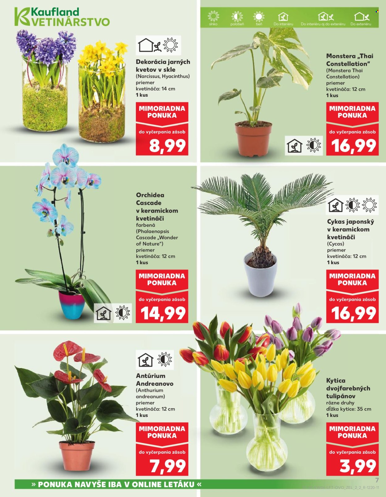 Leták Kaufland - 5.2.2026 - 11.2.2026. Strana 7