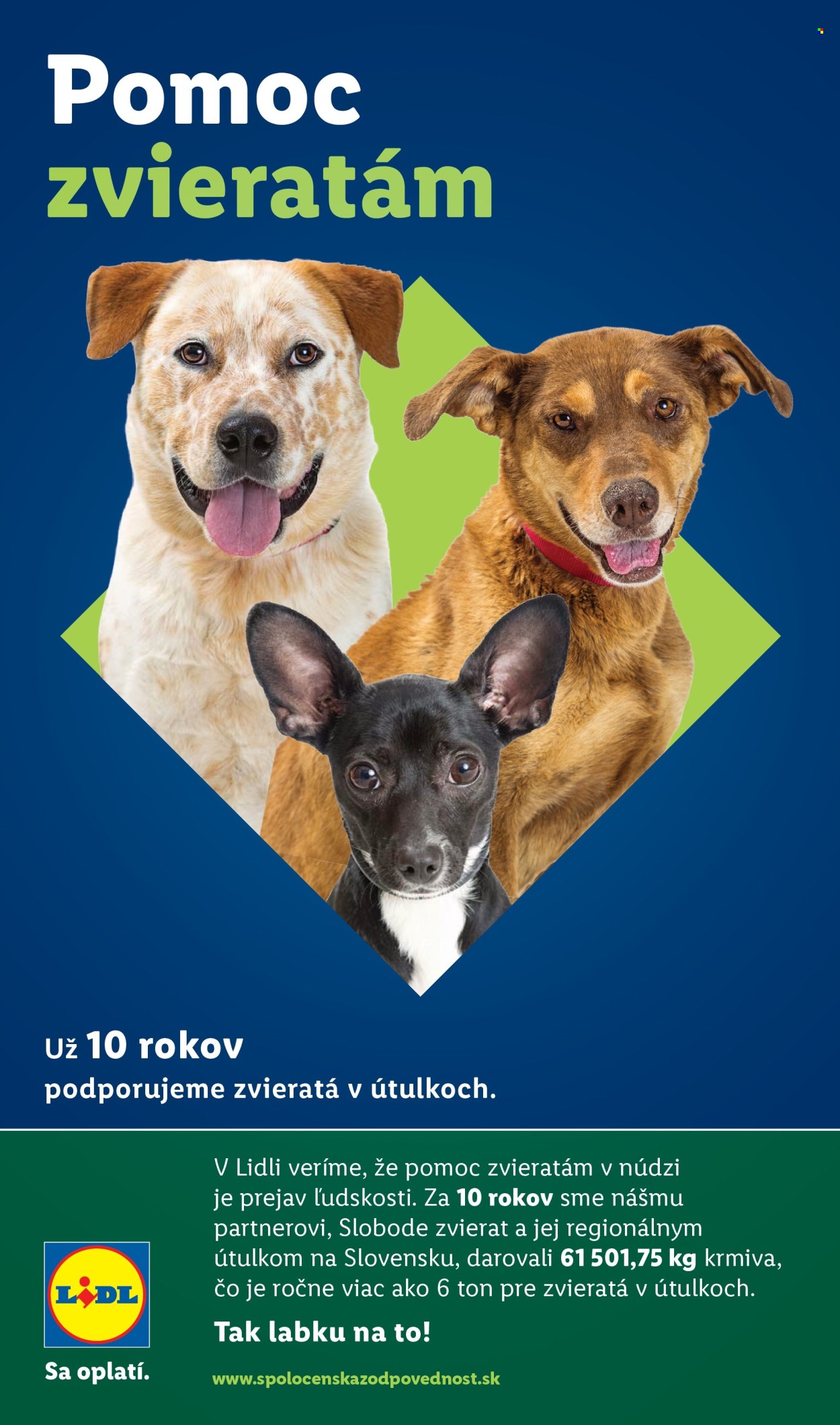 Leták Lidl - 5.2.2026 - 8.2.2026. Strana 49