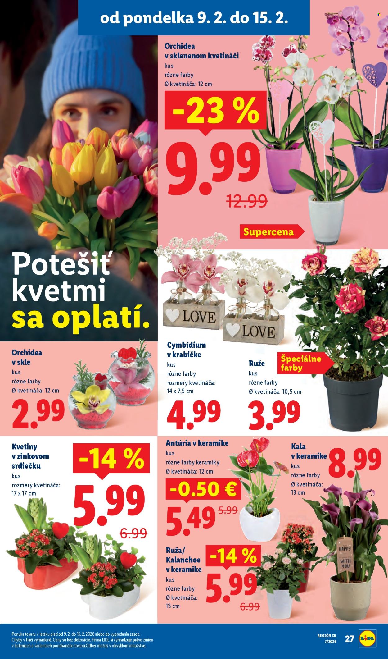 Leták Lidl - 9.2.2026 - 15.2.2026. Strana 29