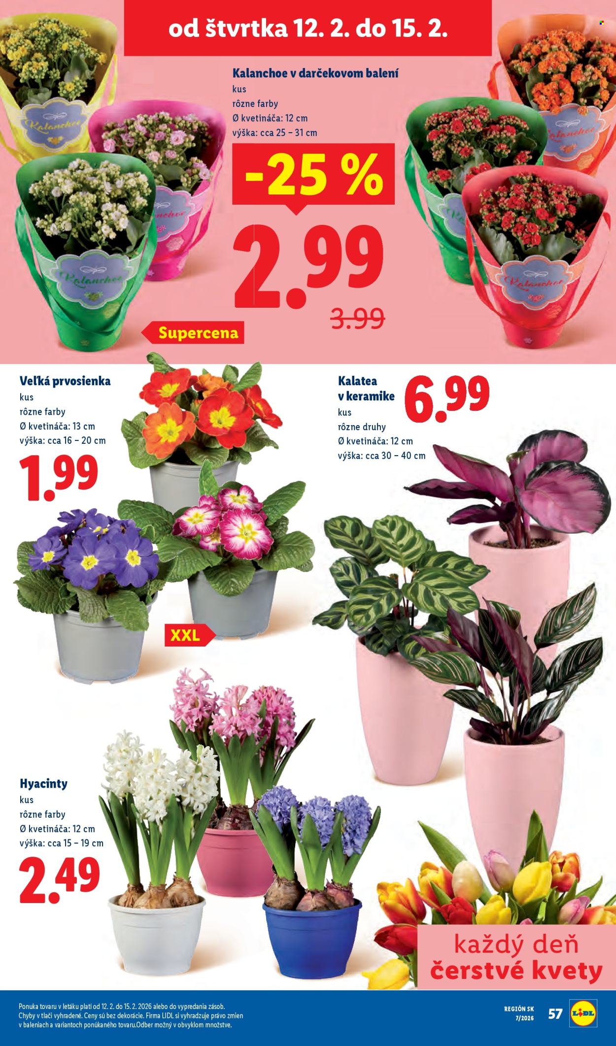 Leták Lidl - 9.2.2026 - 15.2.2026. Strana 62