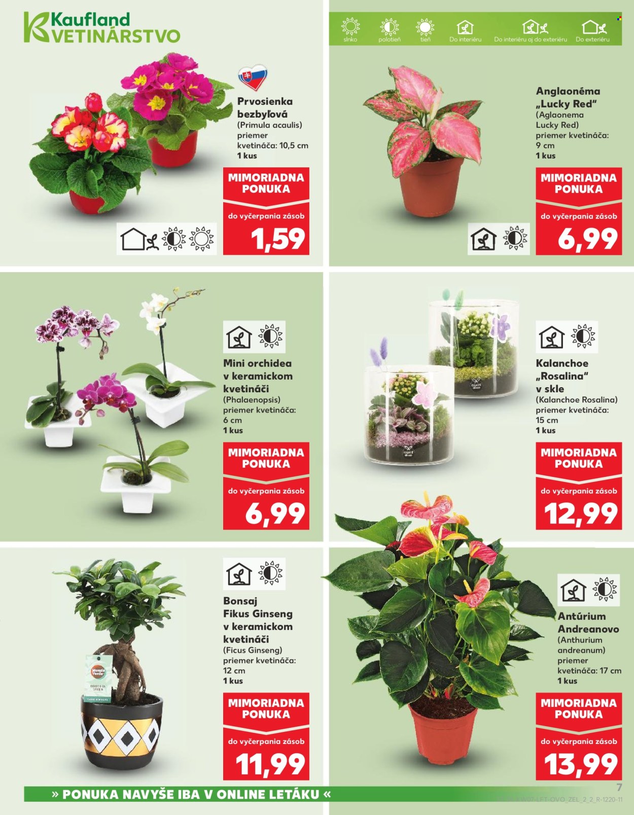 Leták Kaufland - 12.2.2026 - 18.2.2026. Strana 7