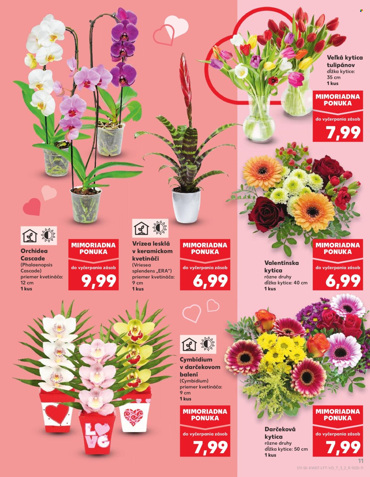 Leták Kaufland - 12.2.2026 - 18.2.2026. Strana 11