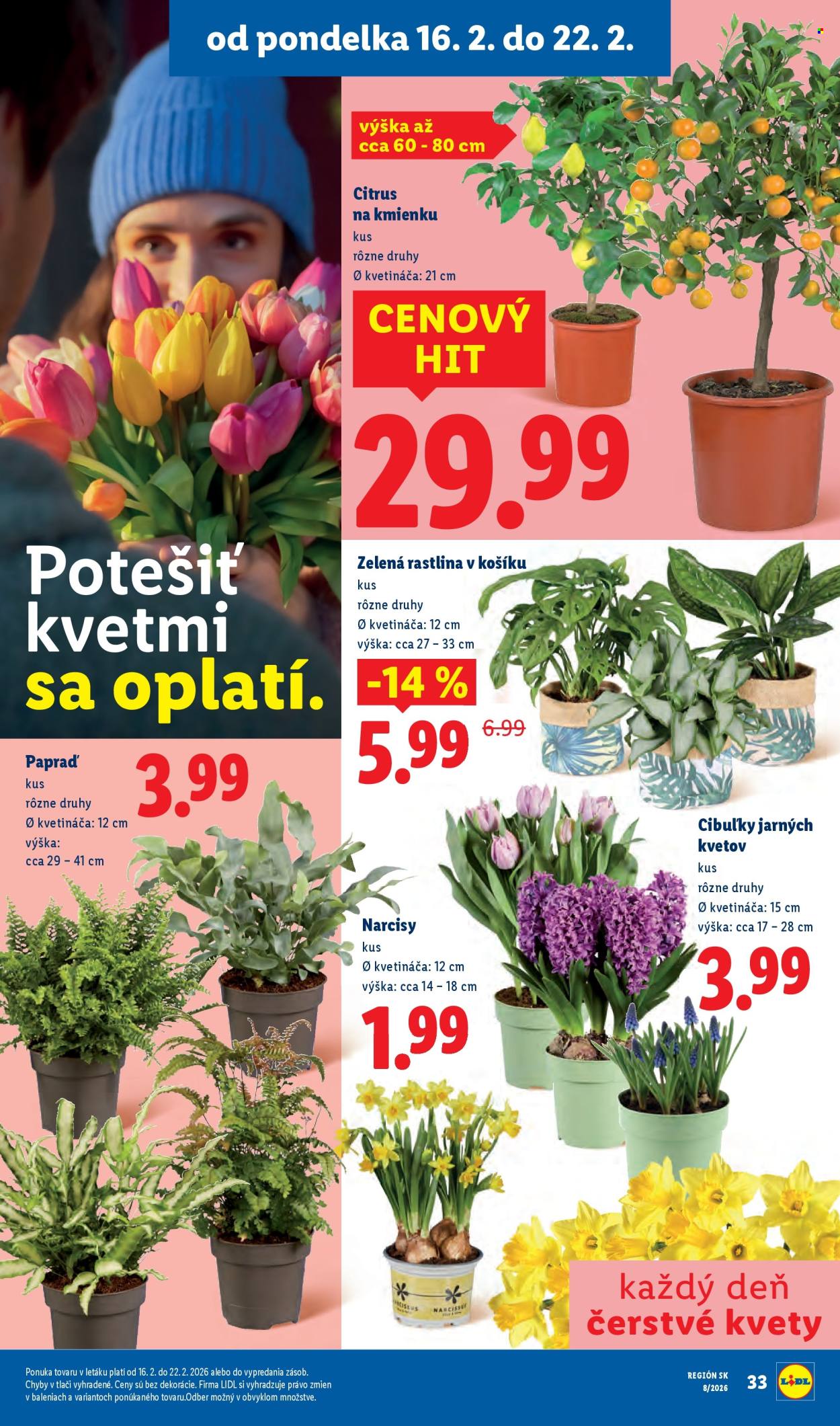 Leták Lidl - 16.2.2026 - 22.2.2026. Strana 35