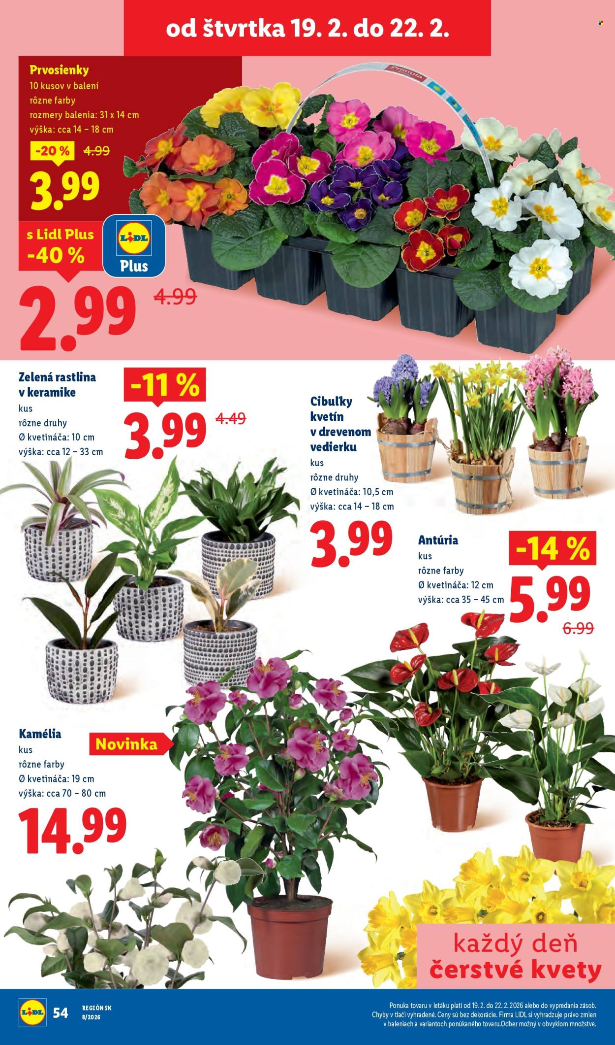 Leták Lidl - 16.2.2026 - 22.2.2026. Strana 75
