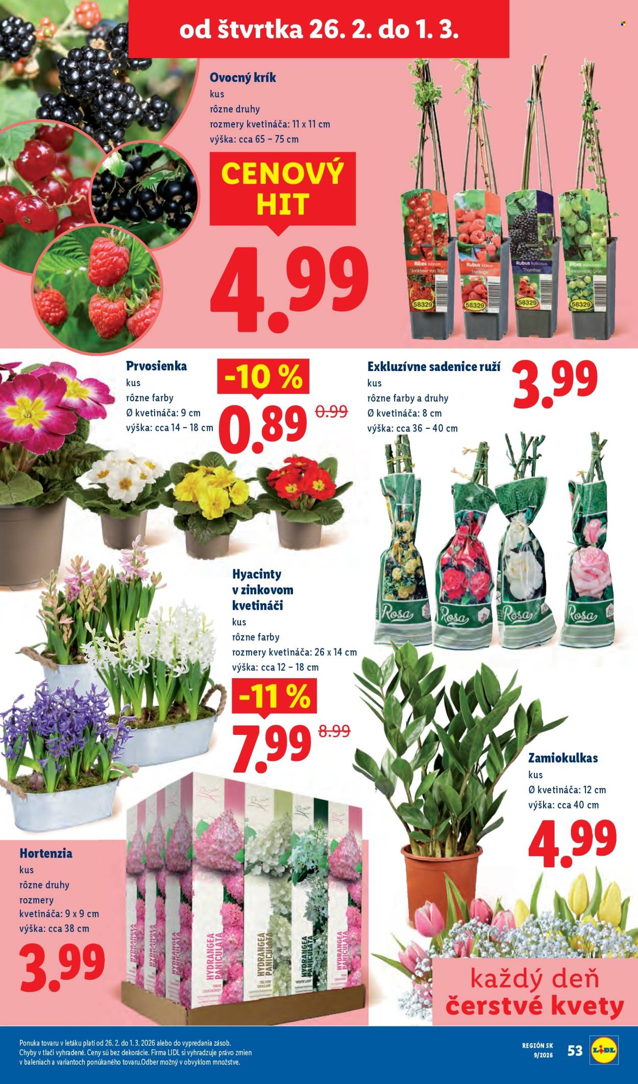 Leták Lidl - 23.2.2026 - 1.3.2026. Strana 89