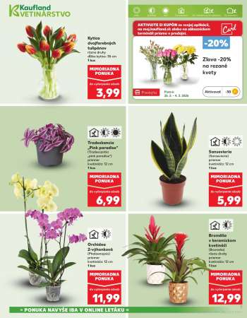 thumbnail - Sansevieria