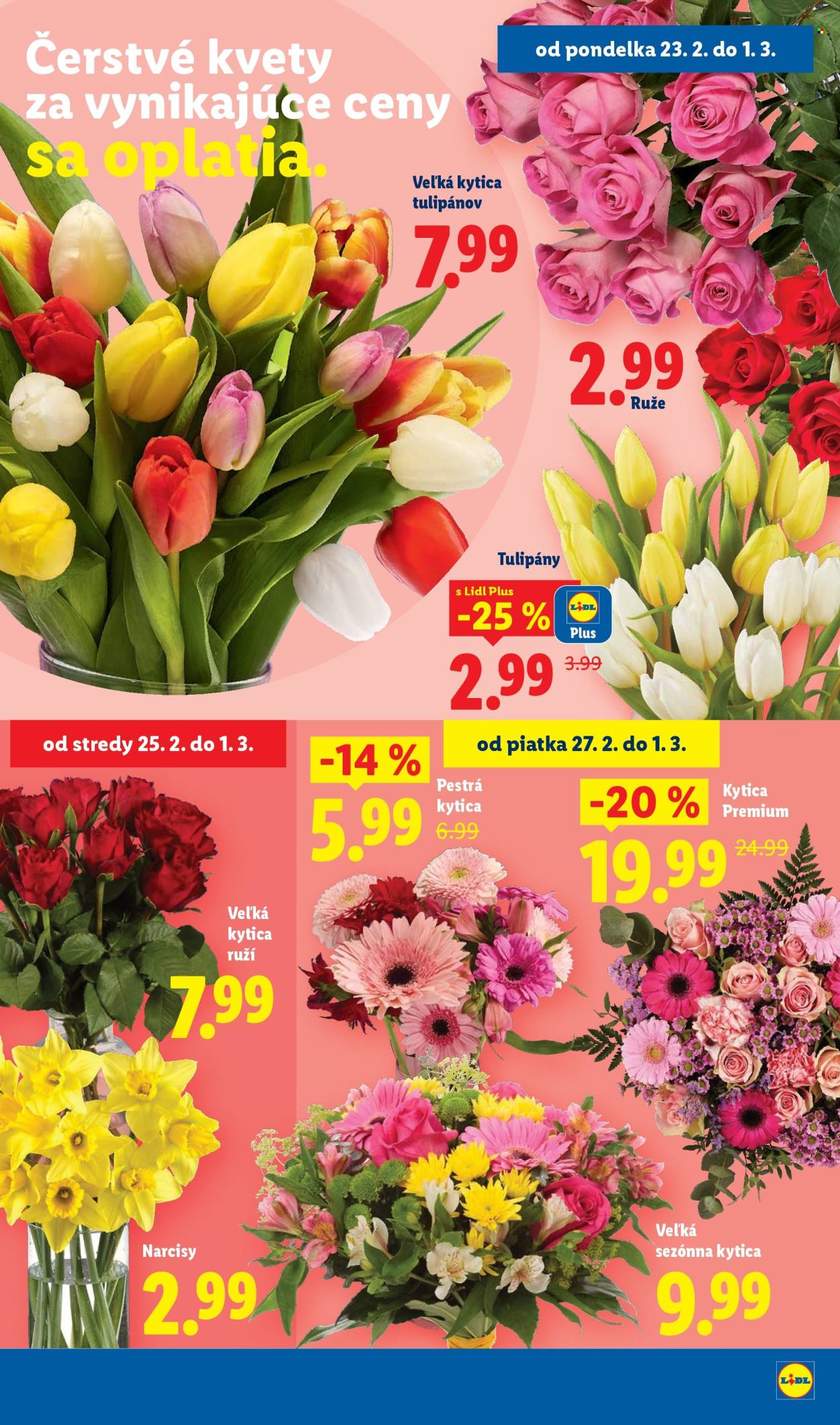 Leták Lidl - 26.2.2026 - 1.3.2026. Strana 76