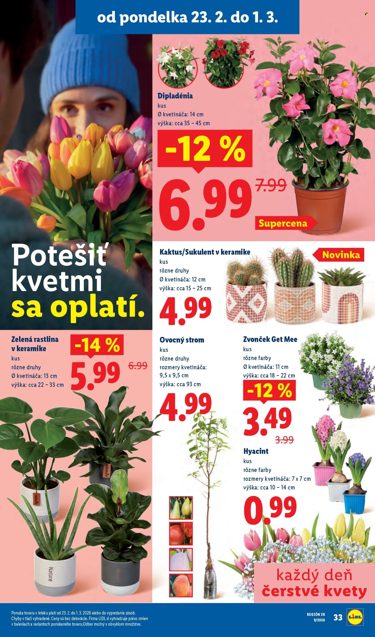 Leták Lidl - 26.2.2026 - 1.3.2026. Strana 77