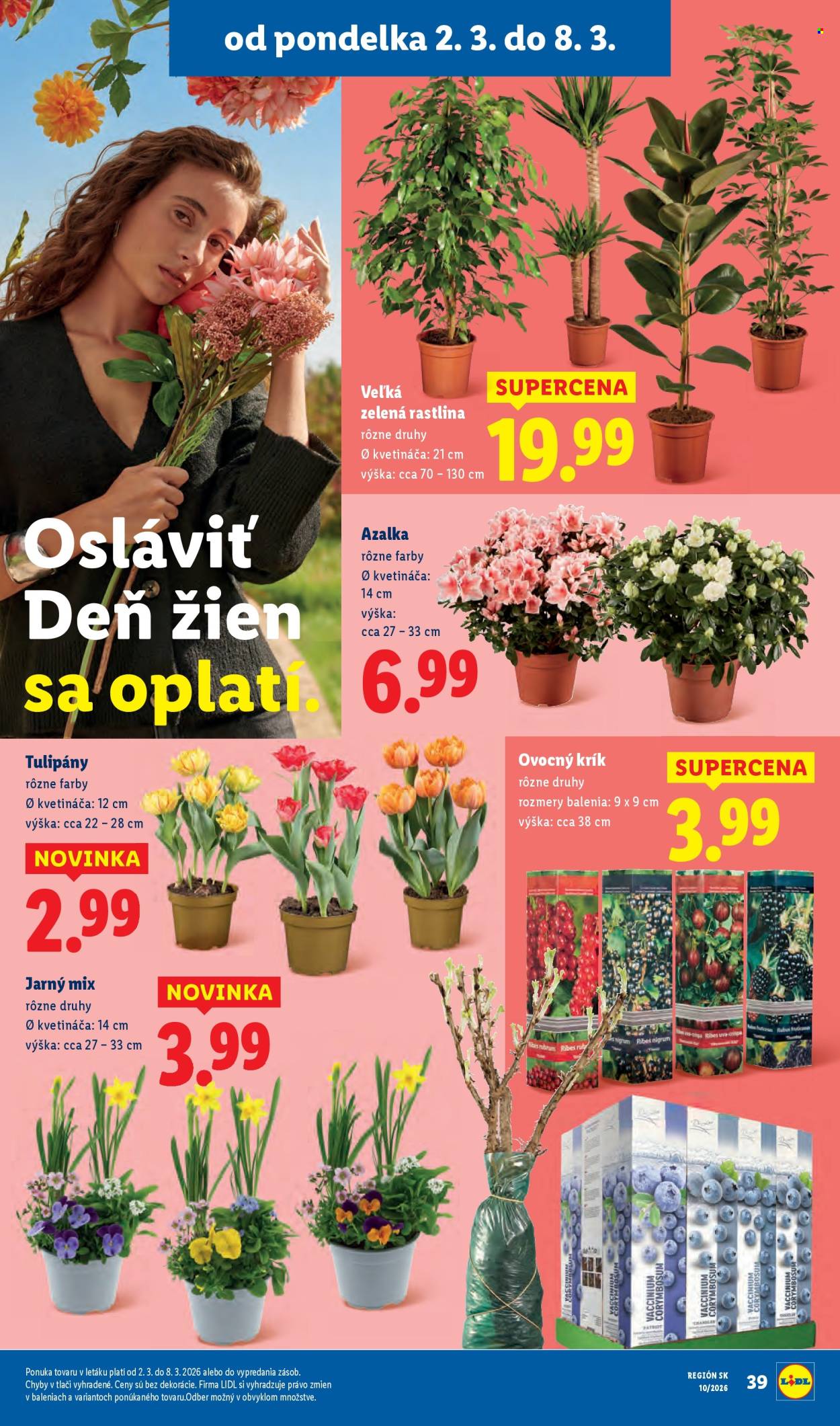 Leták Lidl - 2.3.2026 - 8.3.2026. Strana 49