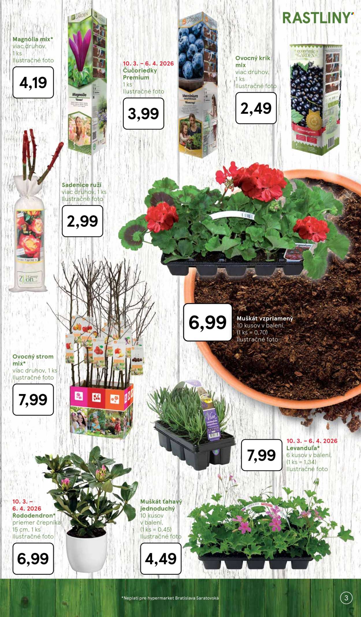 Leták TESCO hypermarket - 3.3.2026 - 6.4.2026. Strana 3