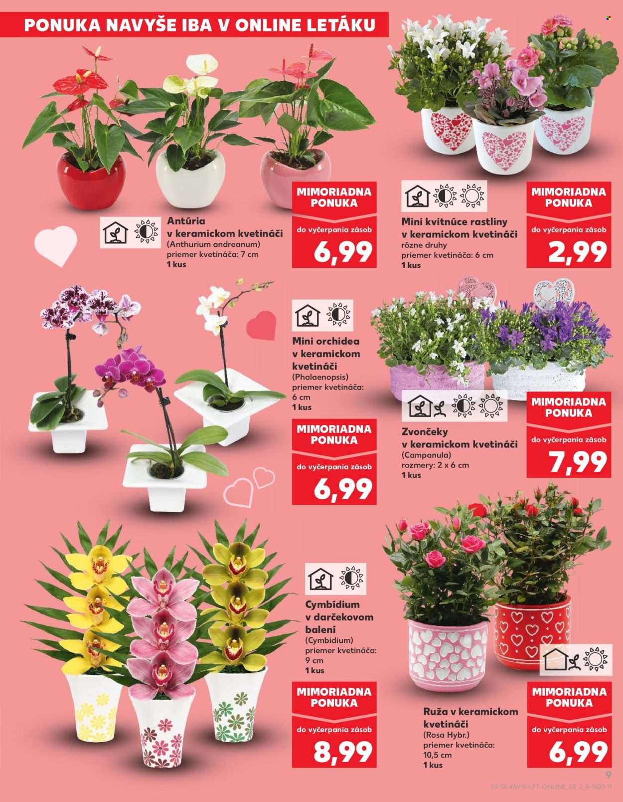 Leták Kaufland - 5.3.2026 - 11.3.2026. Strana 9
