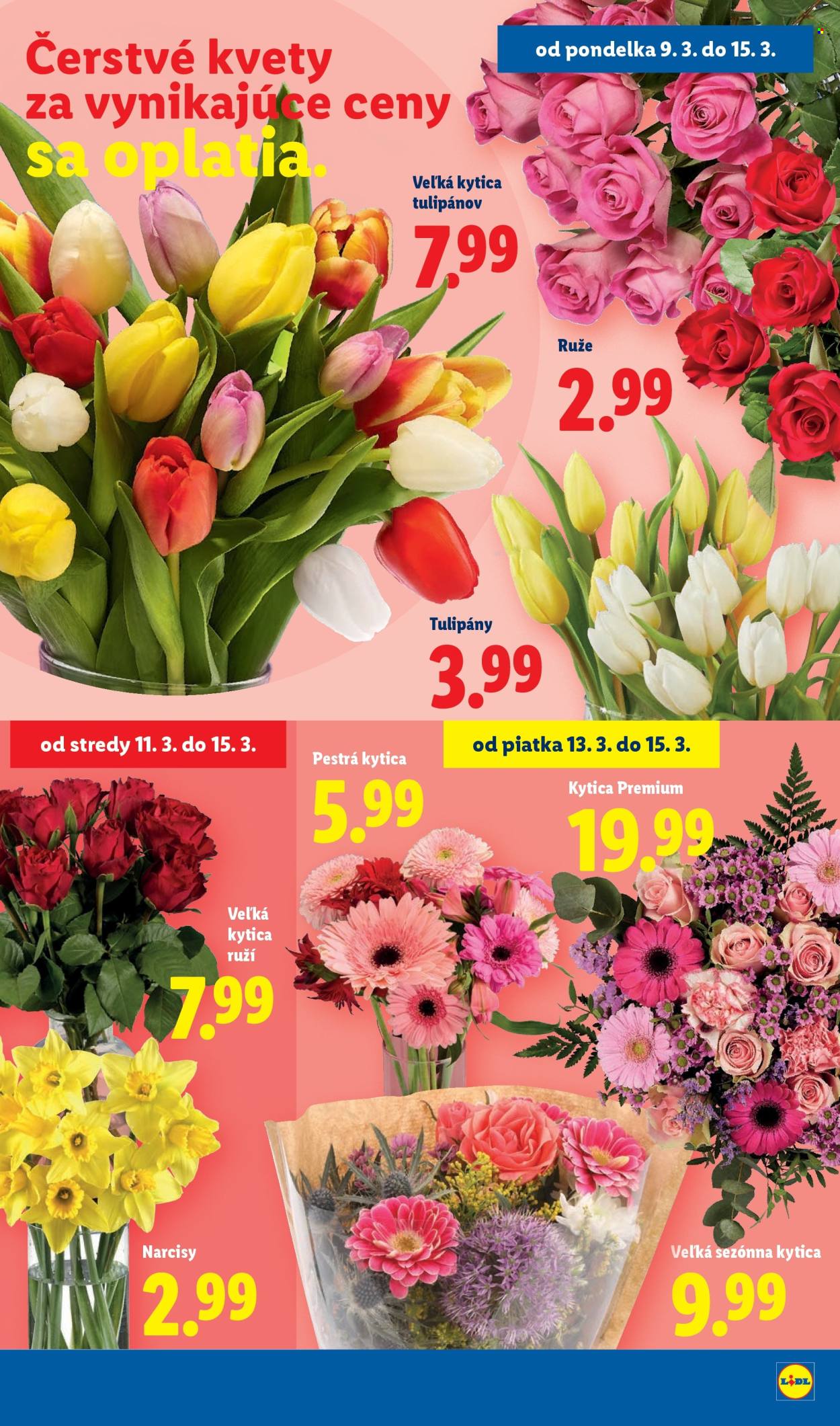 Leták Lidl - 9.3.2026 - 15.3.2026. Strana 41