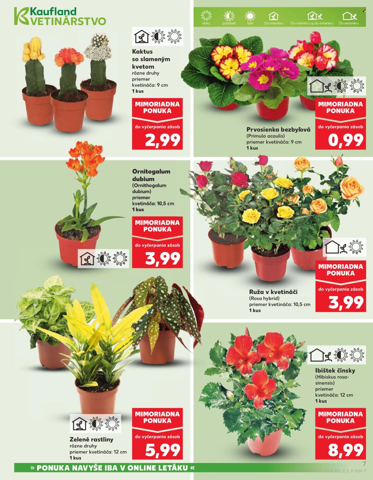Leták Kaufland - 12.3.2026 - 18.3.2026. Strana 7