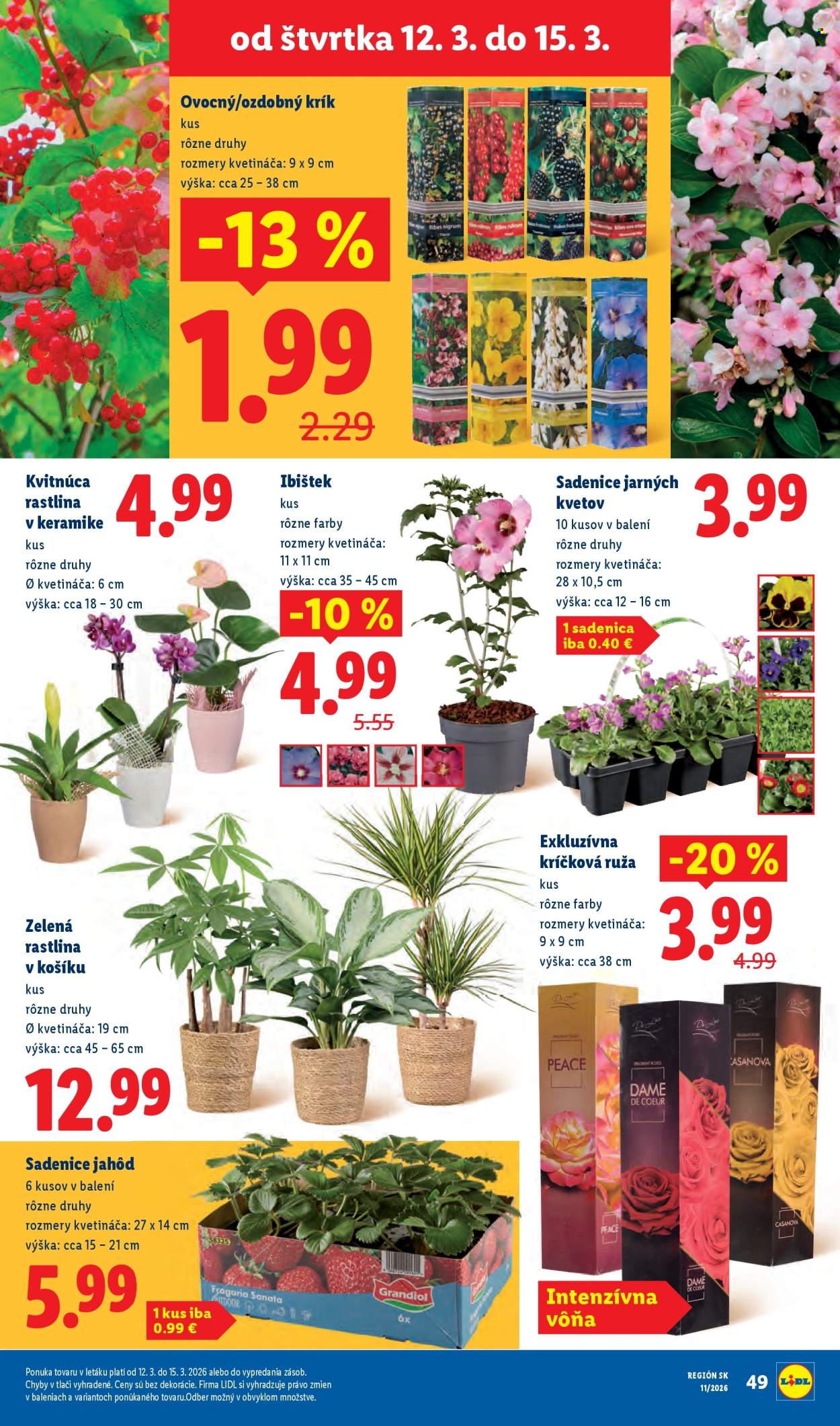 Leták Lidl - 12.3.2026 - 15.3.2026. Strana 27