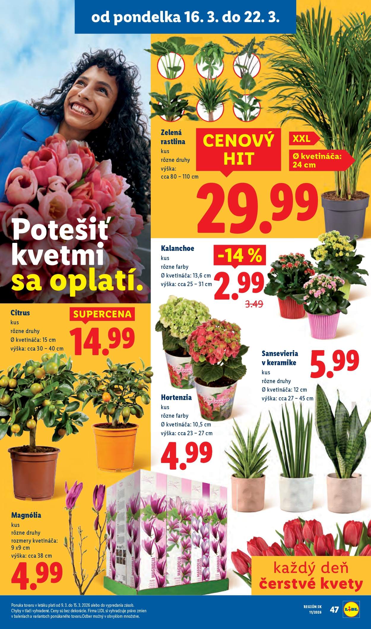 Leták Lidl - 16.3.2026 - 22.3.2026. Strana 56