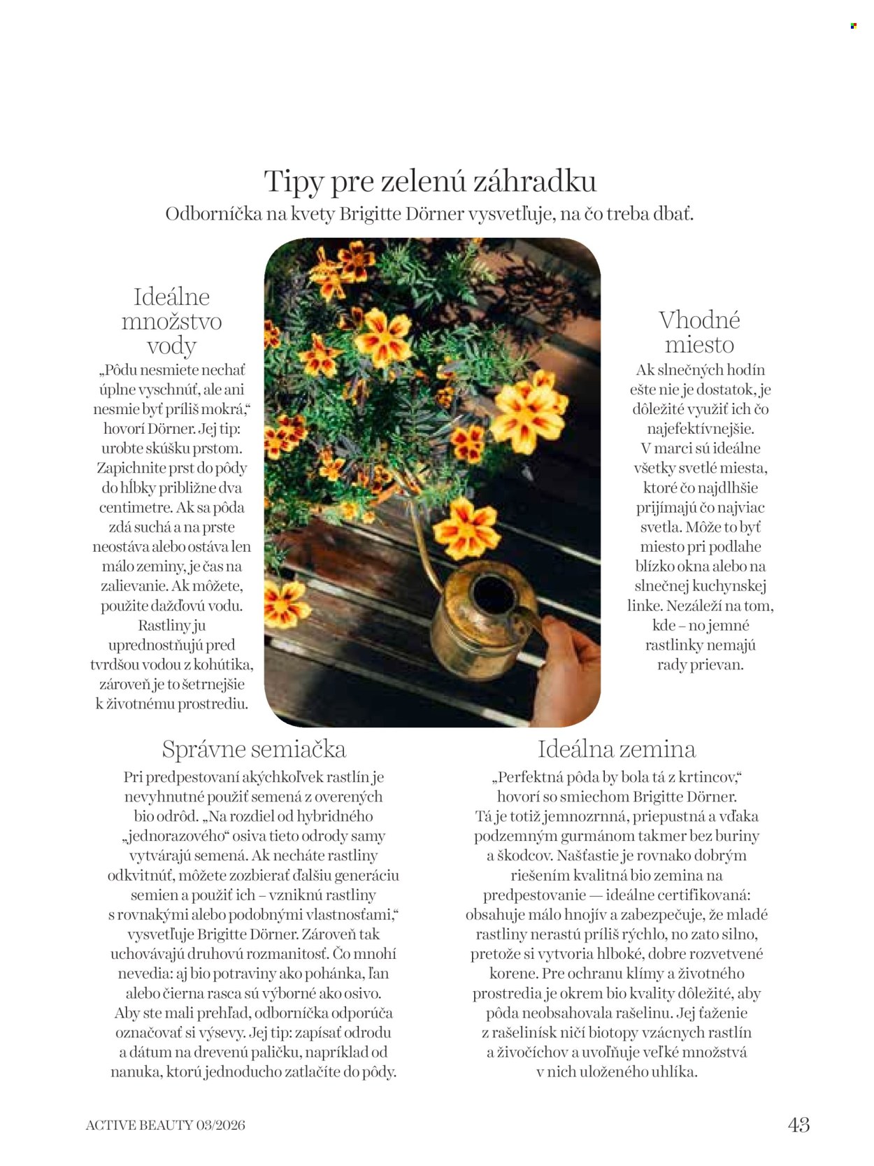 Leták dm drogerie. Strana 43