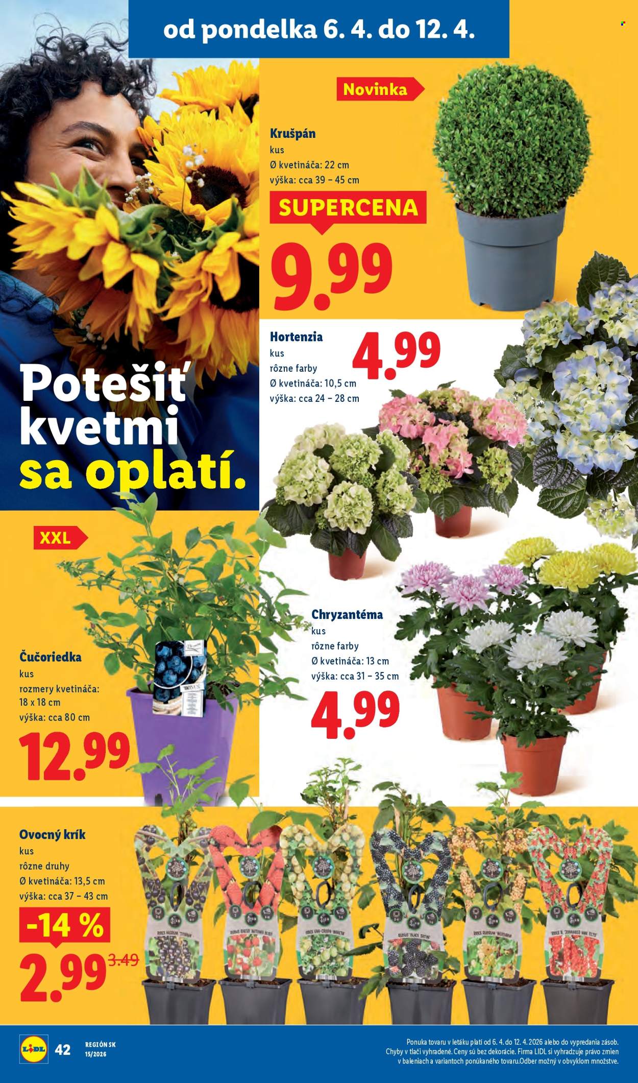 Leták Lidl - 6.4.2026 - 12.4.2026. Strana 34