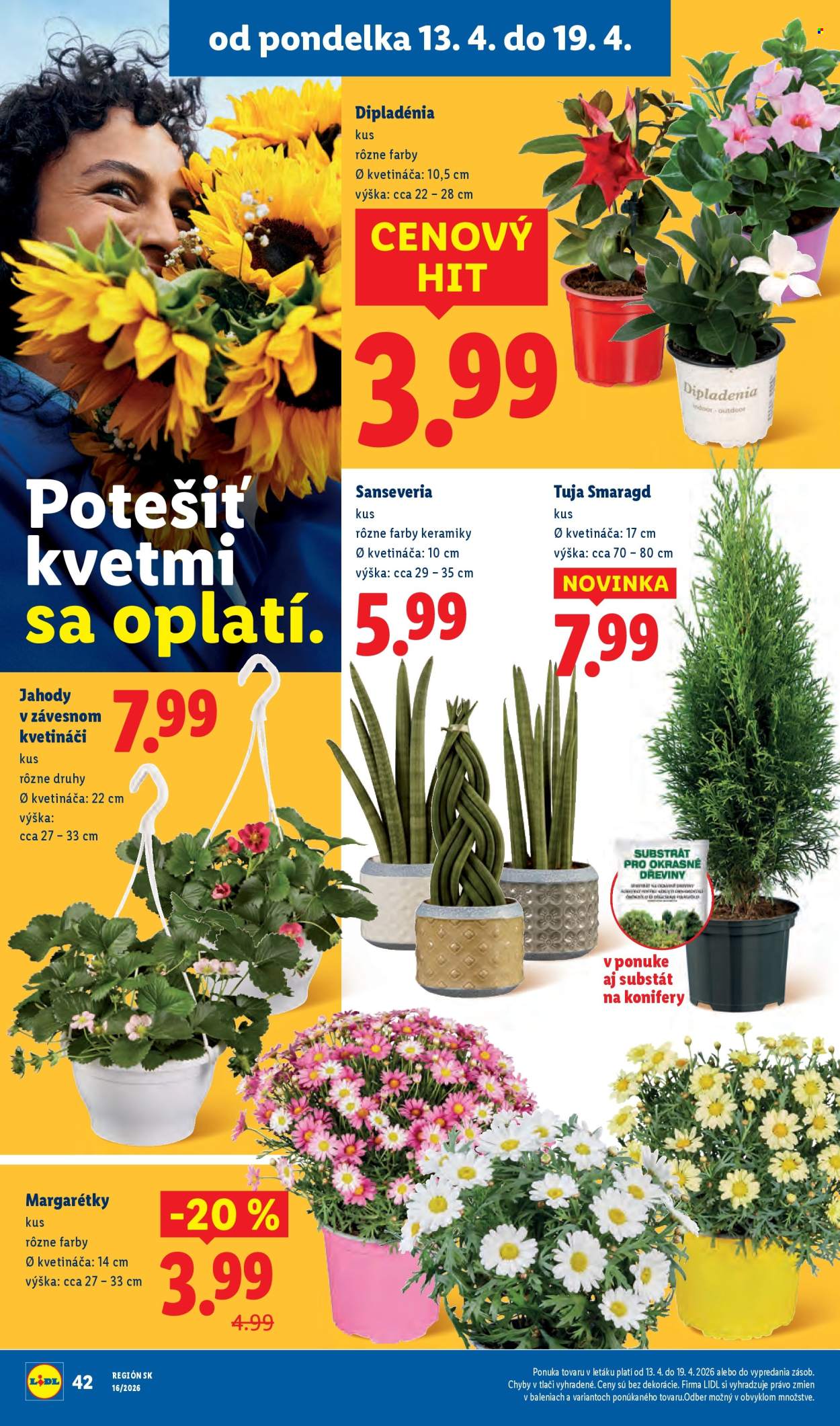 Leták Lidl - 13.4.2026 - 19.4.2026. Strana 50